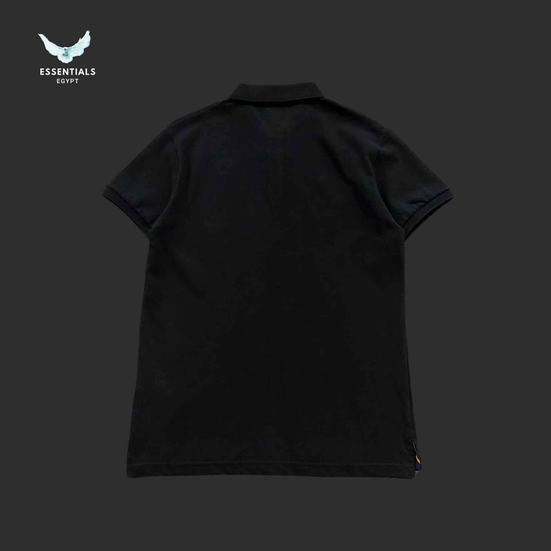 Ralph Lauren Polo – Multicolor Core - ESSENTIALS EGYPT