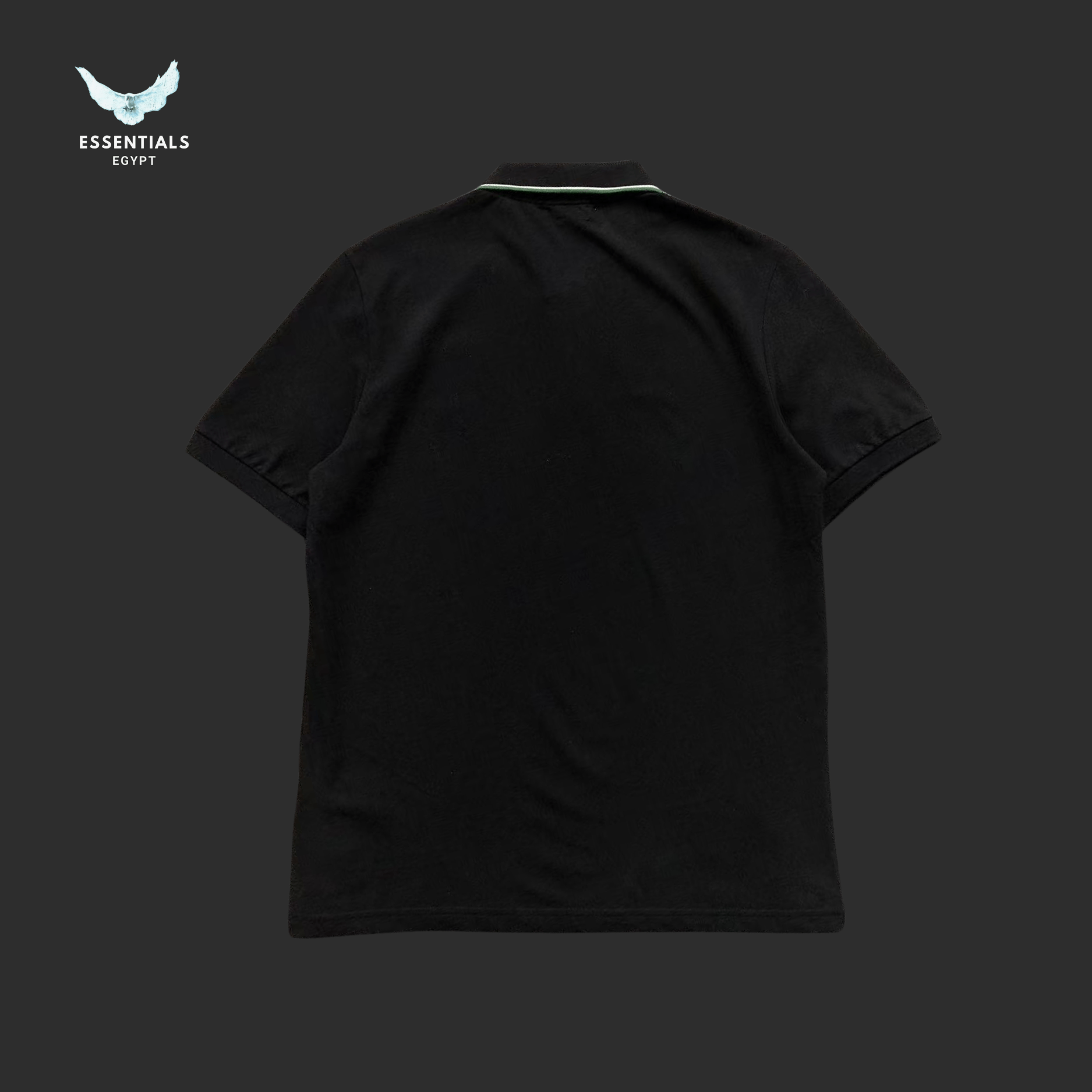 Ralph Lauren Polo – Embroidered Crest Edition - ESSENTIALS EGYPT