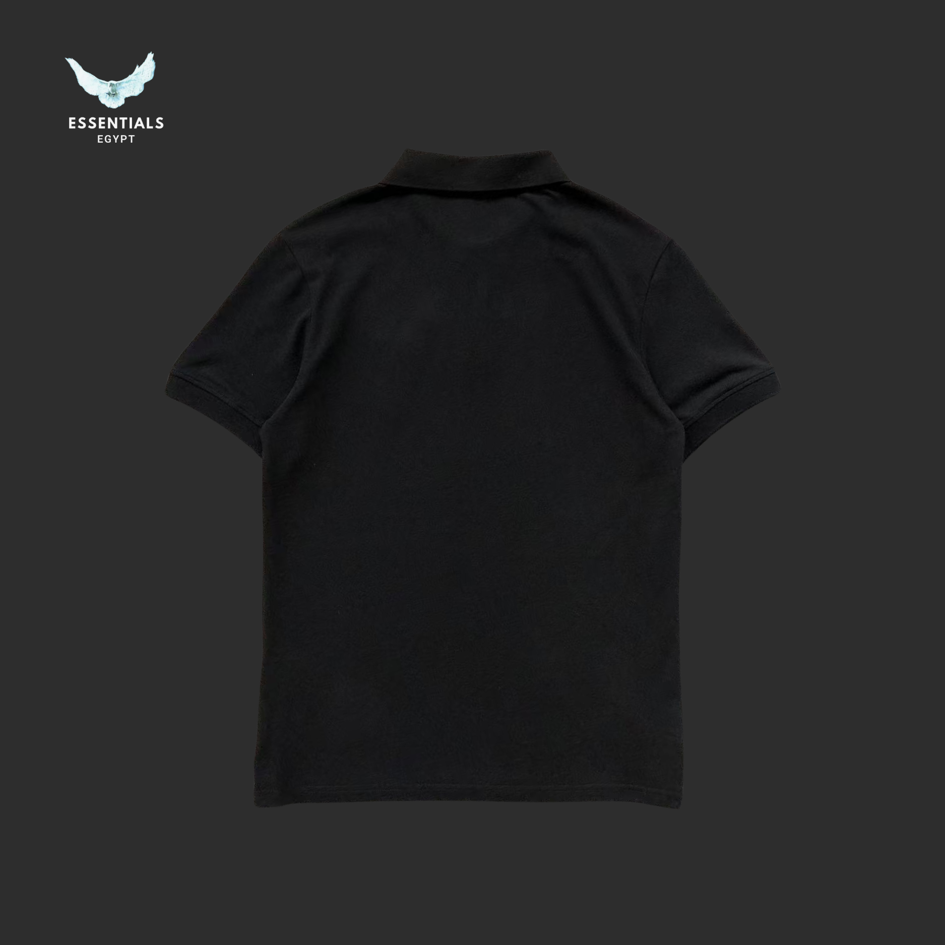 Ralph Lauren Polo – Classic Pony Logo