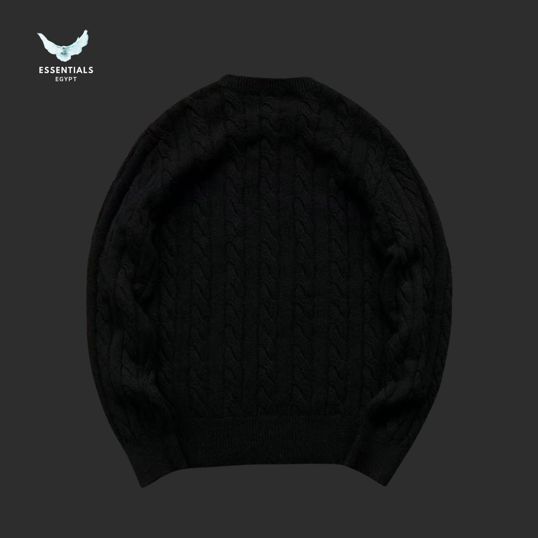 RALPH LAUREN SWEATSHIRT 4107210177