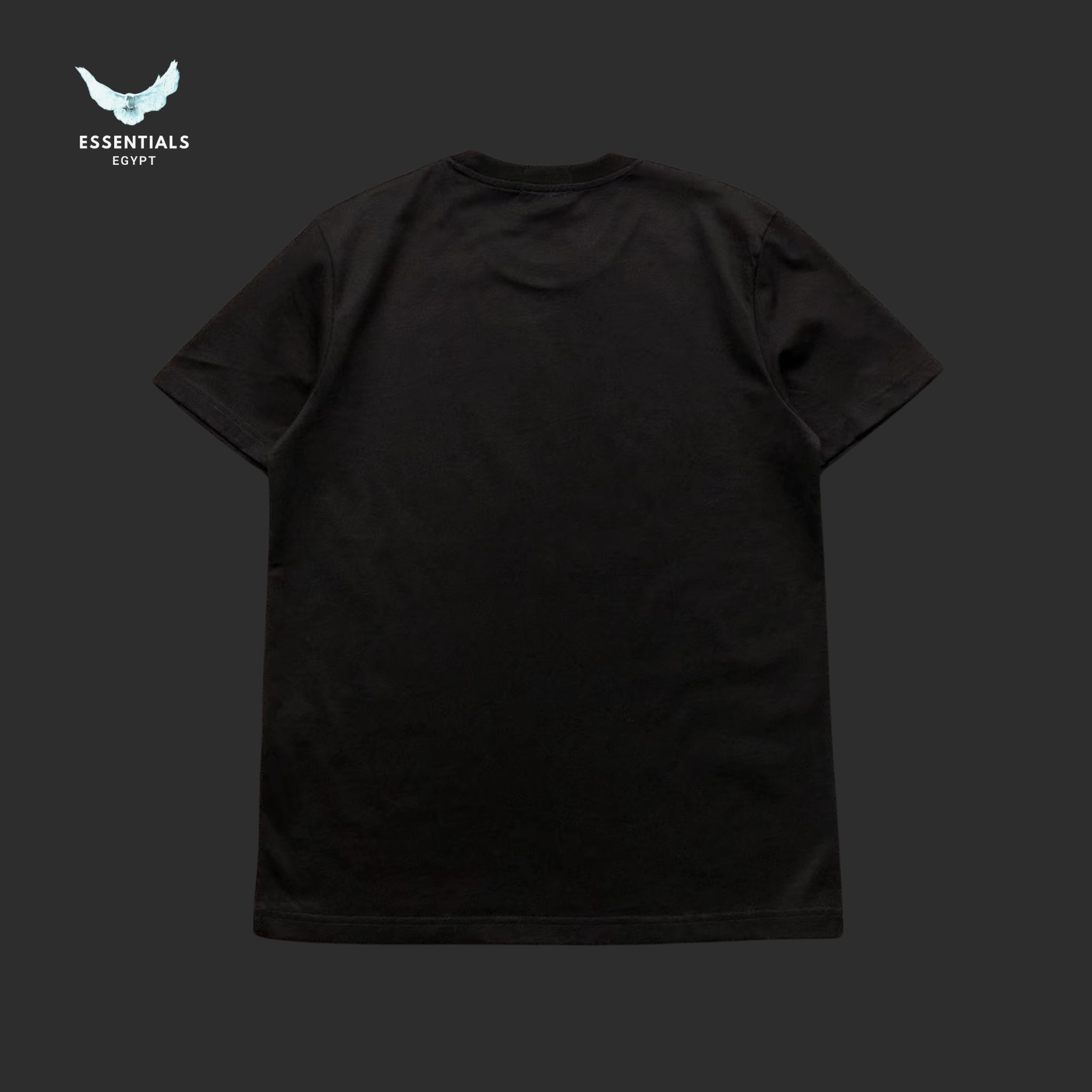 Ralph Lauren T-Shirt – Bear Graphic Pack - ESSENTIALS EGYPT