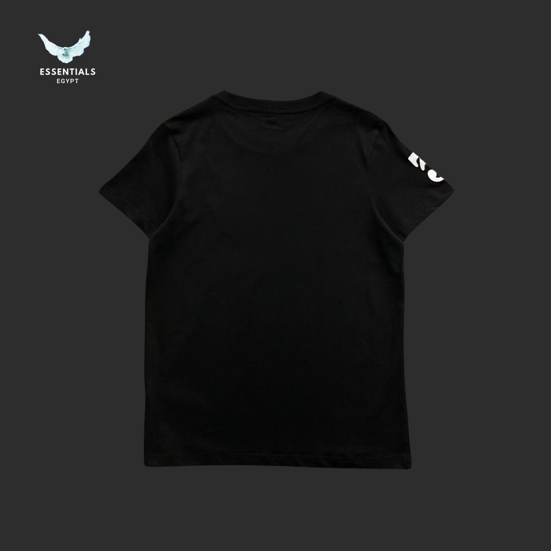 Ralph Lauren T-Shirt – Oversized Pony Logo