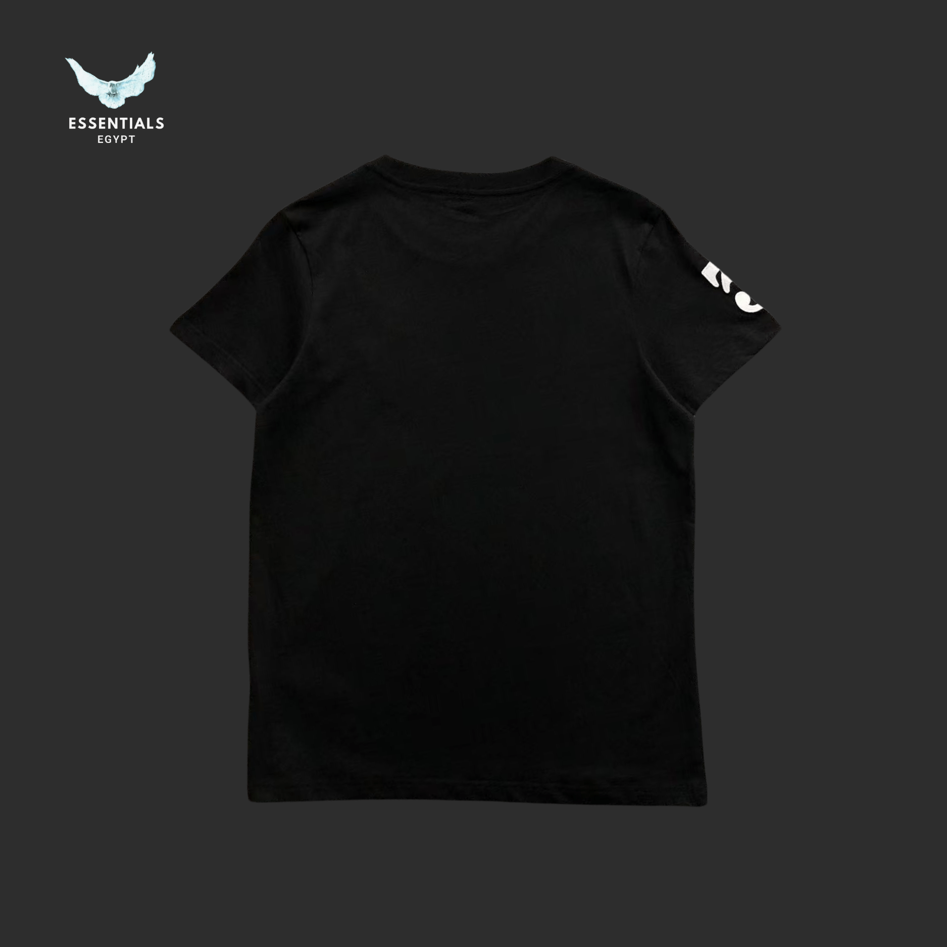 Ralph Lauren T-Shirt – Oversized Pony Logo - ESSENTIALS EGYPT