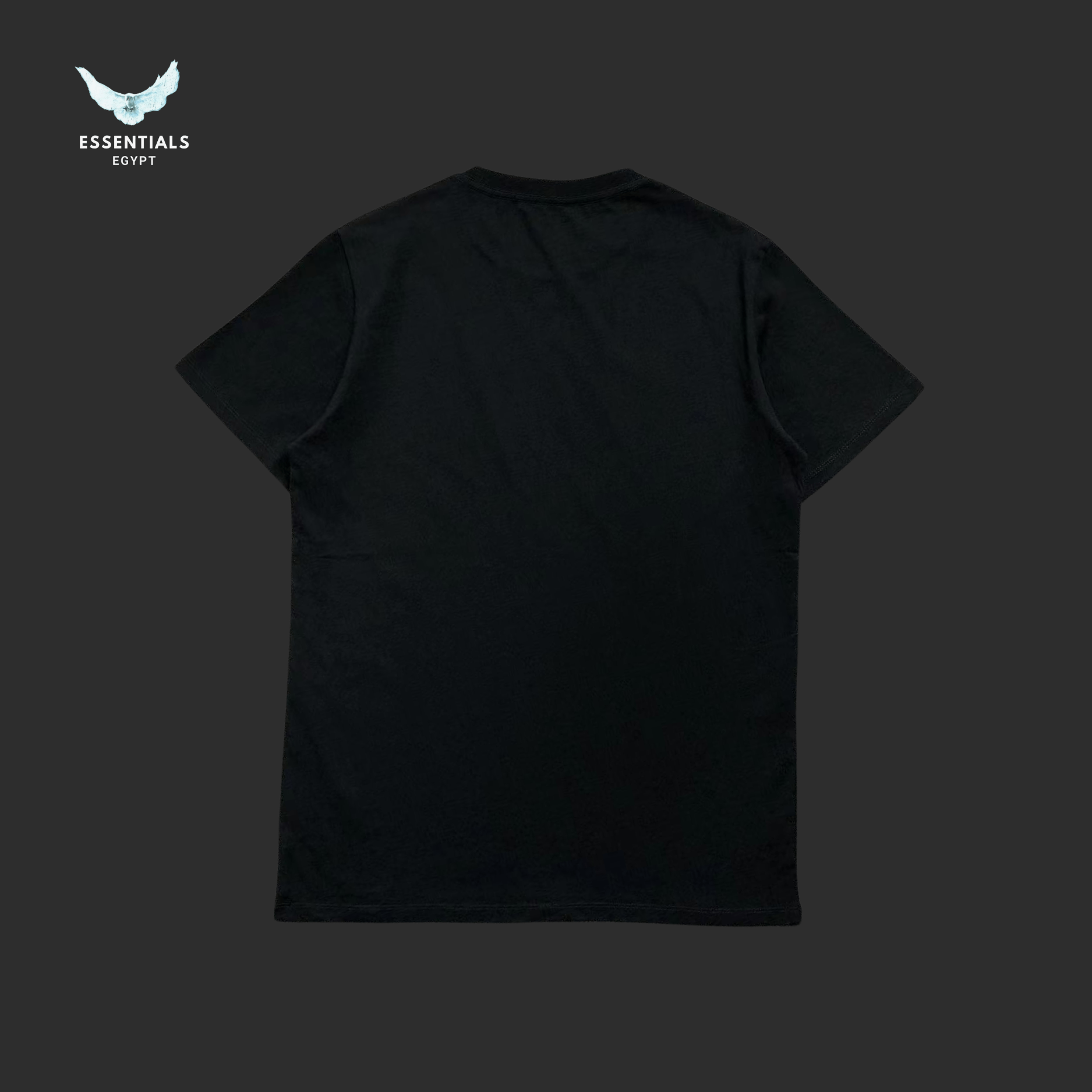 Ralph Lauren T-Shirt – Bear Graphic - ESSENTIALS EGYPT