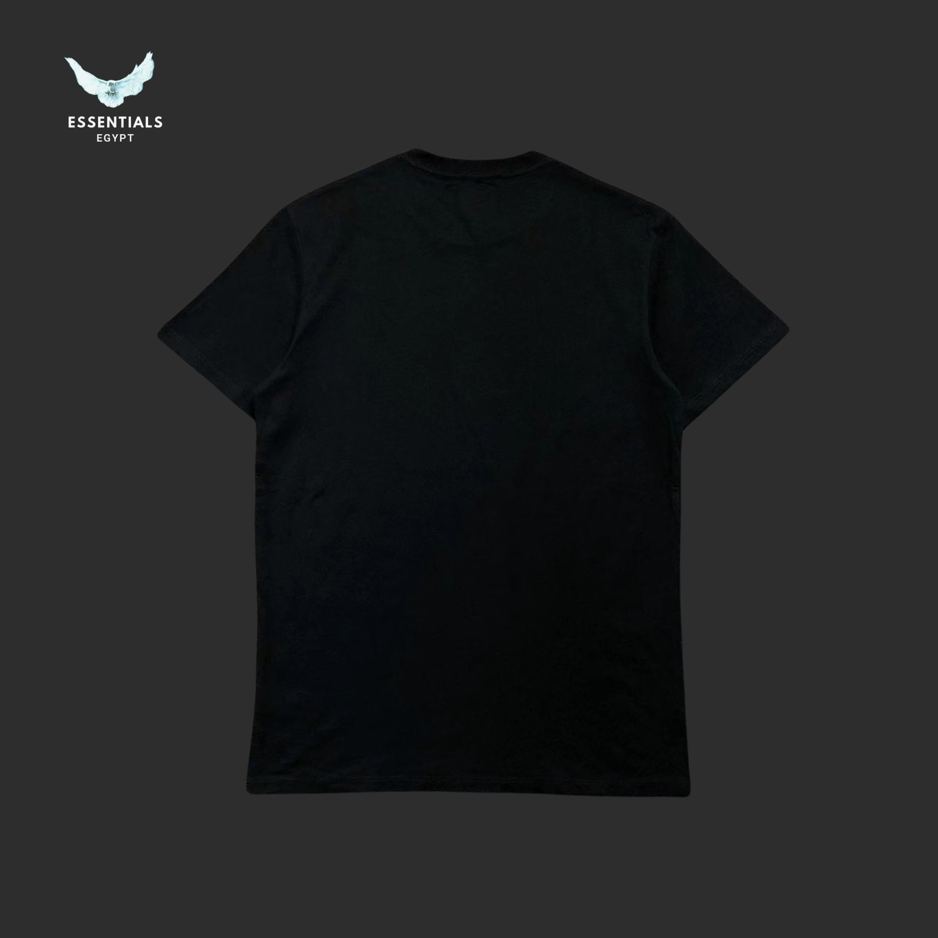 Ralph Lauren T-Shirt – Bear with Rugby Ball - ESSENTIALS EGYPT