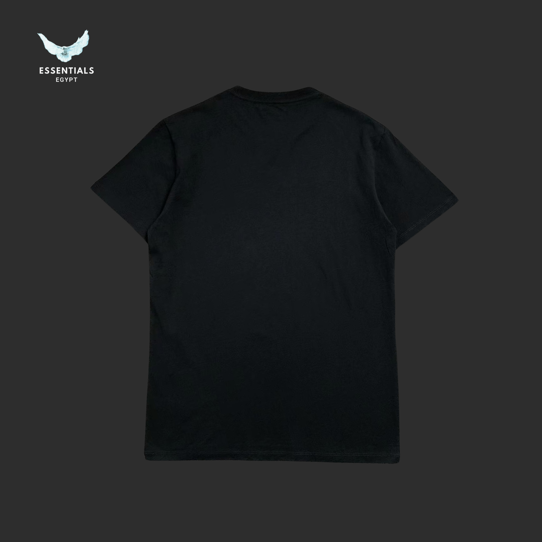 Ralph Lauren T-Shirt – Large Polo Horse Graphic - ESSENTIALS EGYPT