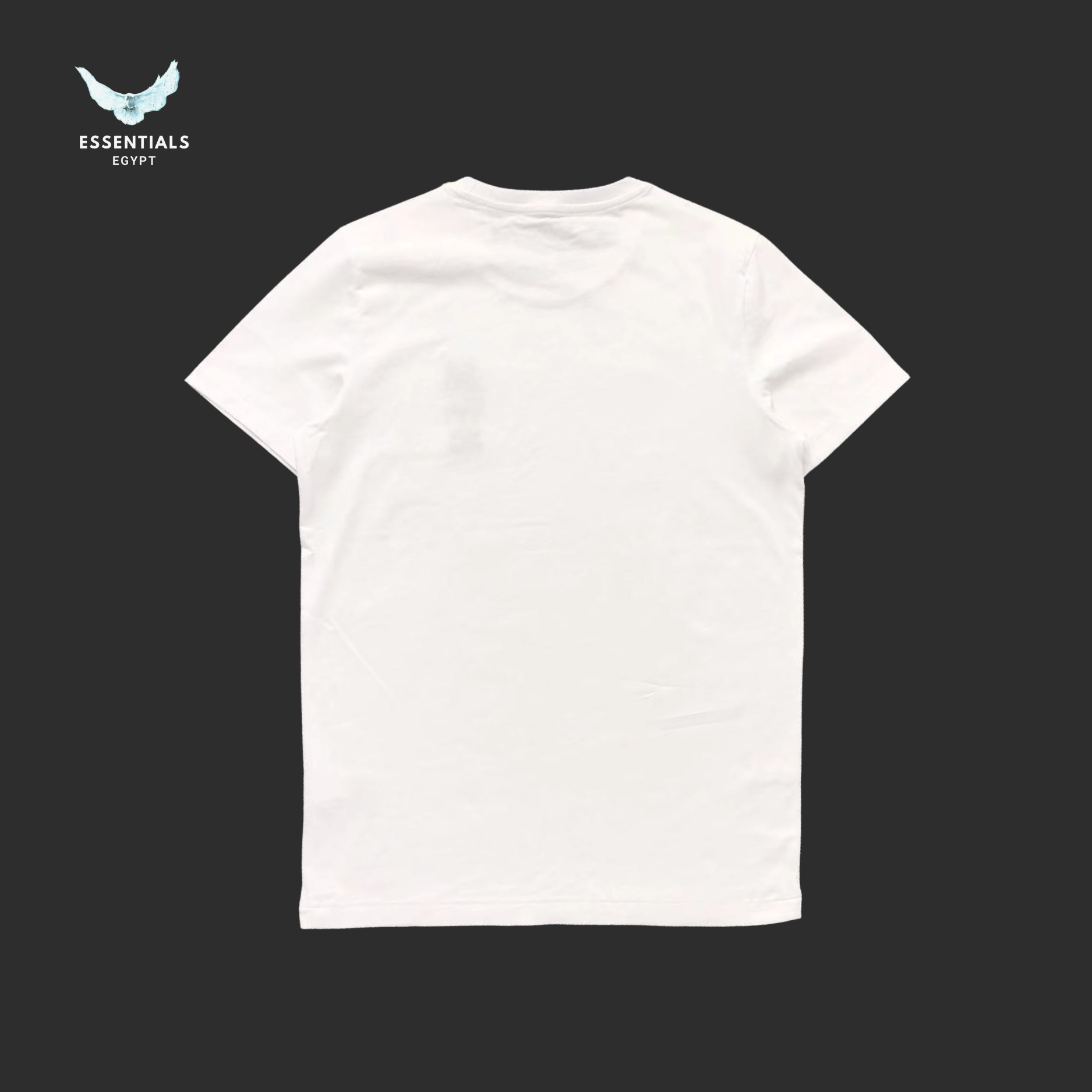 Ralph Lauren T-Shirt – Mini Polo Bear Print - ESSENTIALS EGYPT