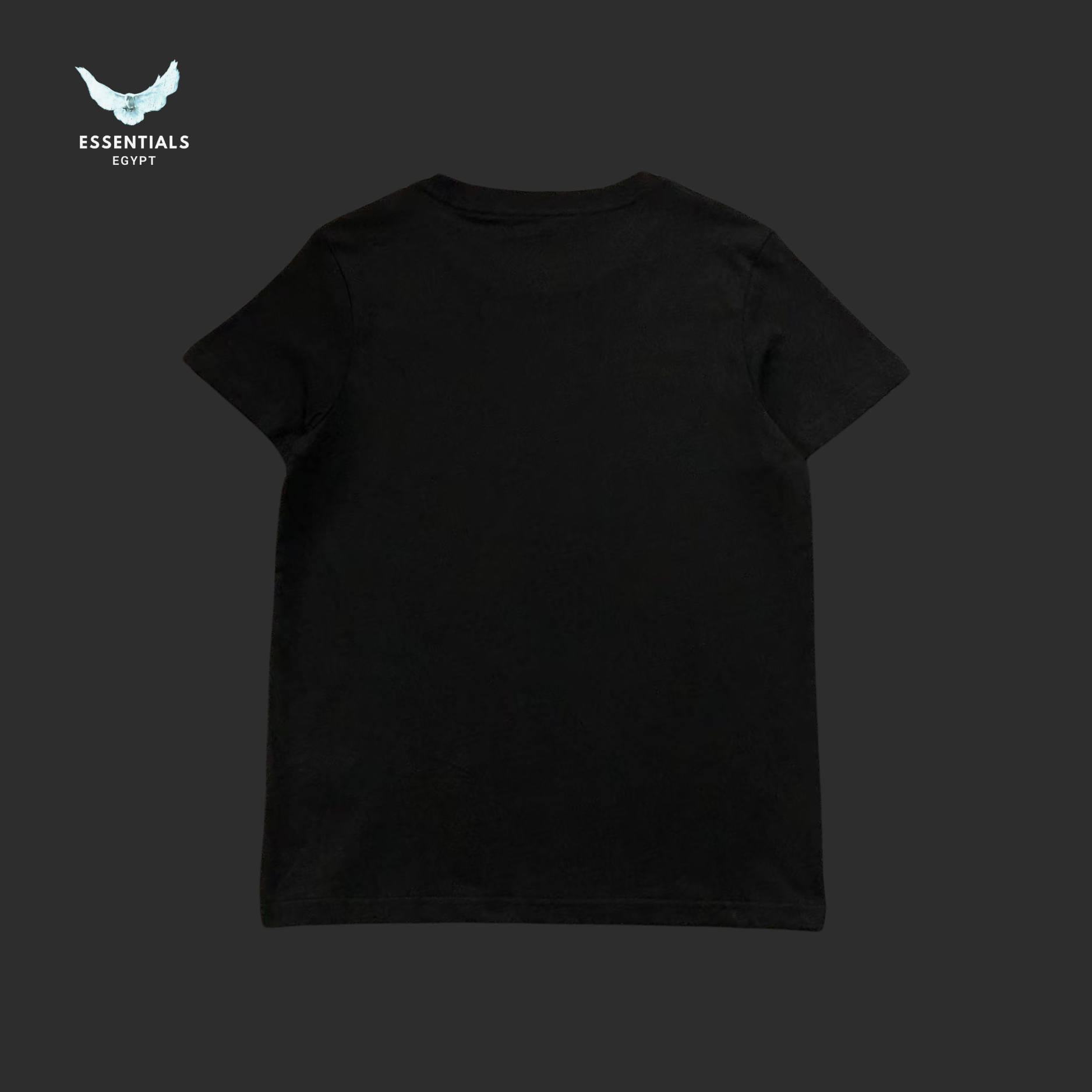 Ralph Lauren T-Shirt – Triple Polo Block Logo - ESSENTIALS EGYPT