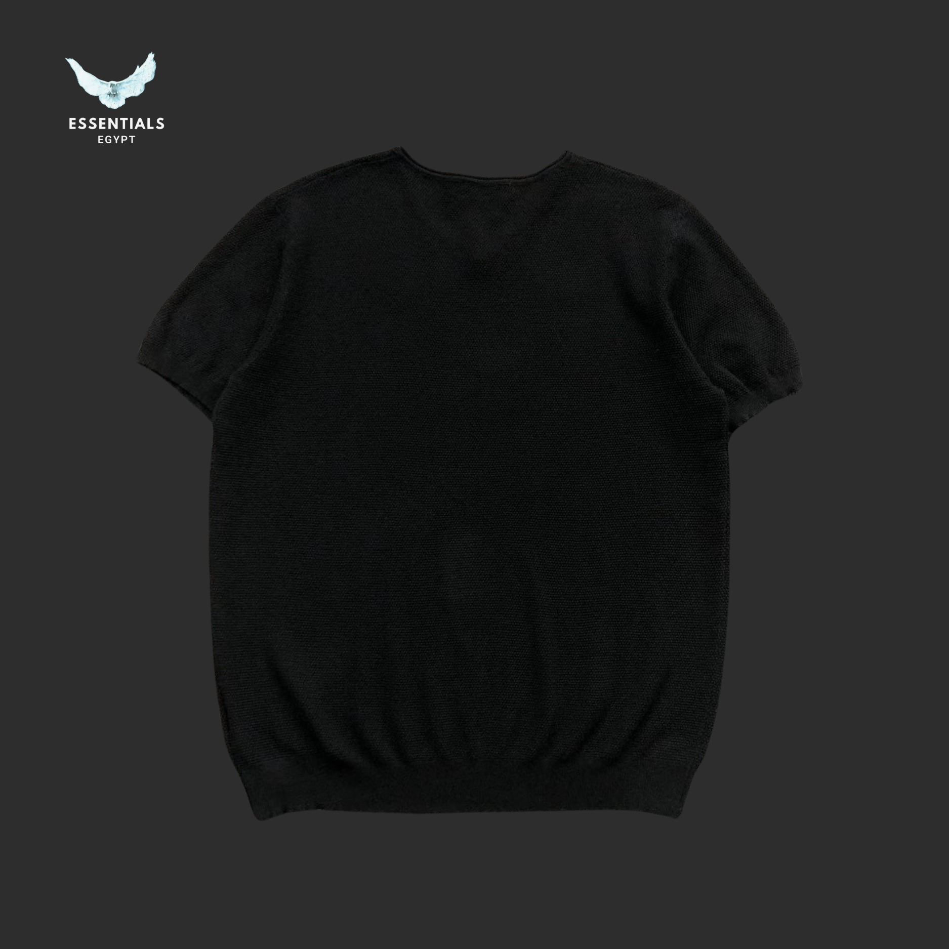 Ralph Lauren T-Shirt – Soft Ribbed Crewneck - ESSENTIALS EGYPT