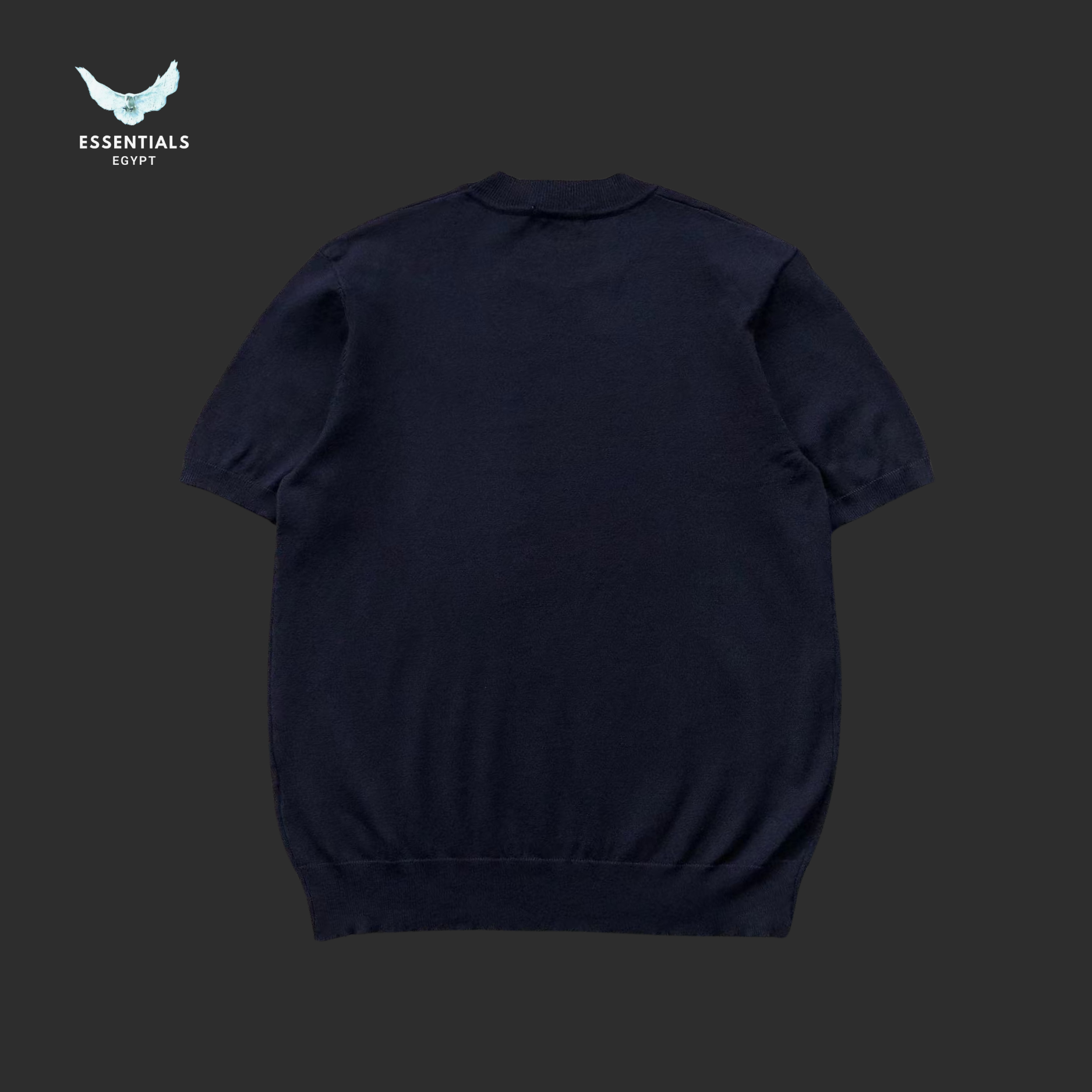 RALPH LAUREN T-SHIRT 213261501