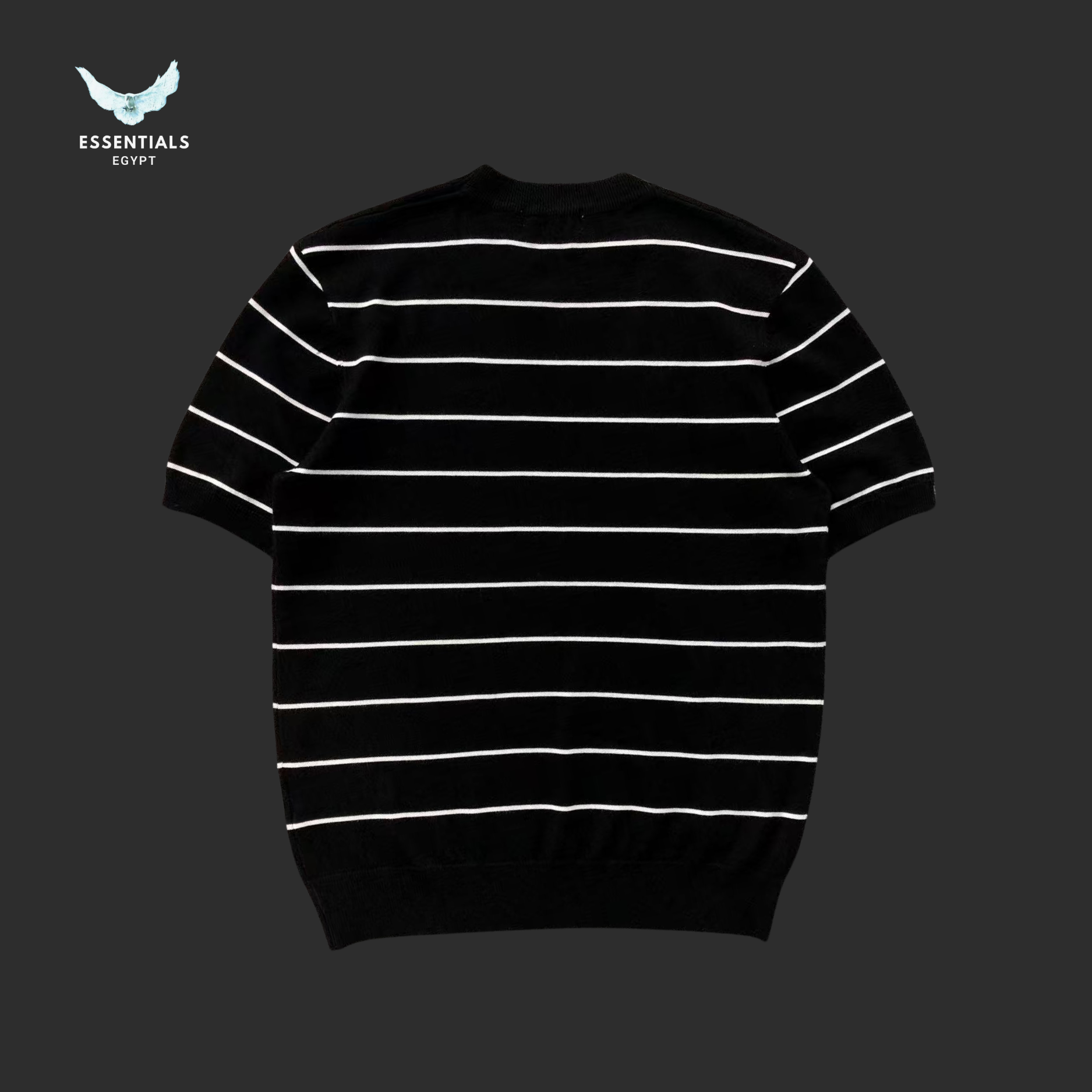 RALPH LAUREN T-SHIRT 213261601