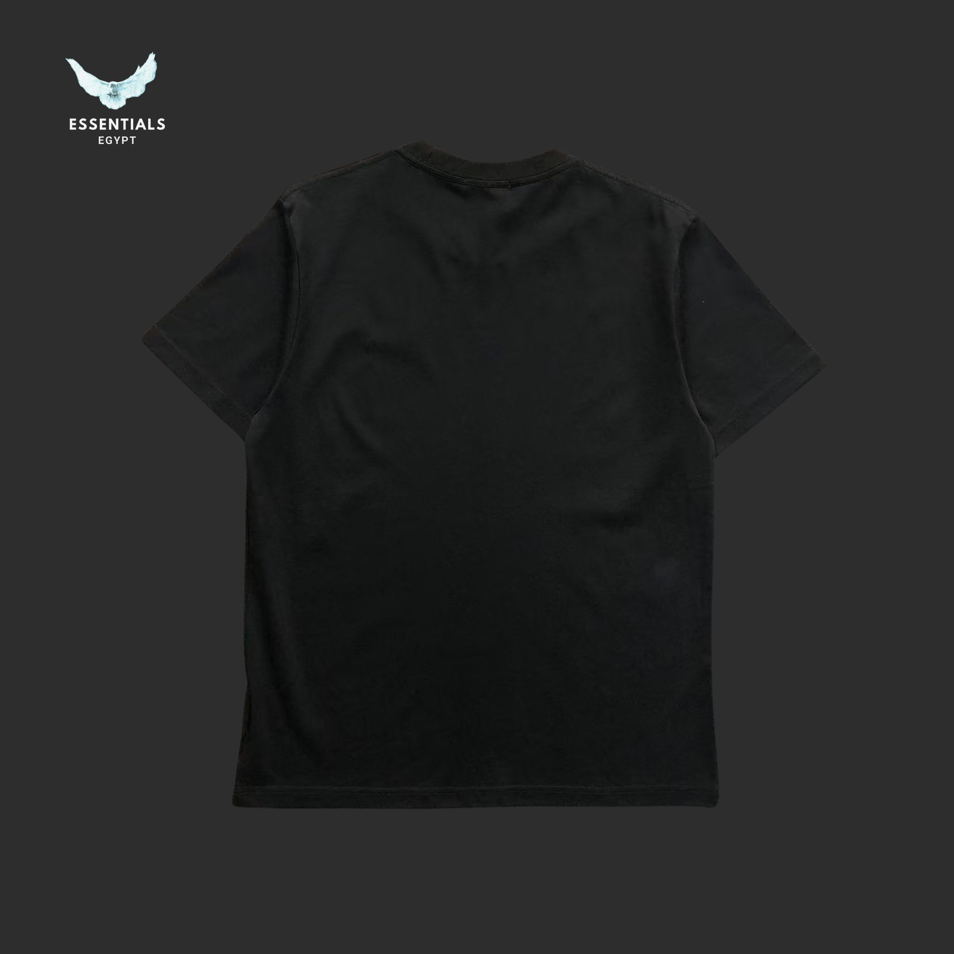 Ralph Lauren T-Shirt – Classic Jersey Fit - ESSENTIALS EGYPT