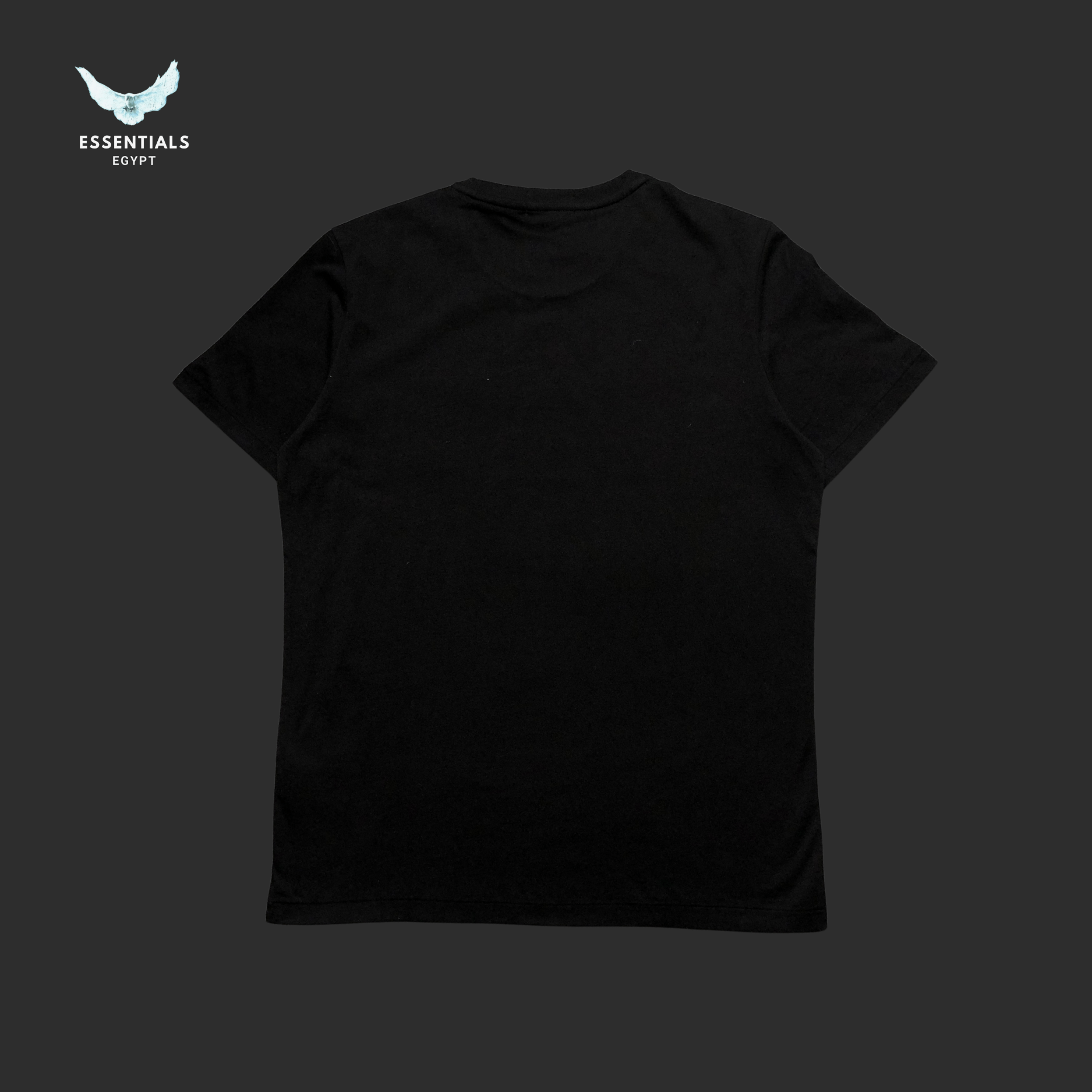 Ralph Lauren T-Shirt – Polo Bear Graphic - ESSENTIALS EGYPT