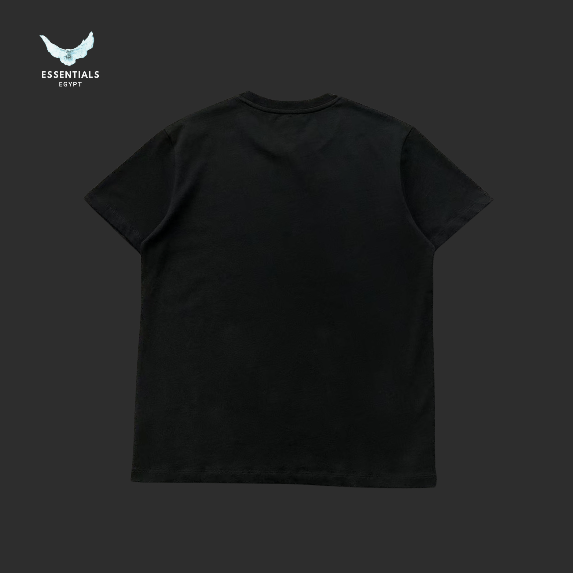 Ralph Lauren T-Shirt – Vintage Polo Logo Print - ESSENTIALS EGYPT