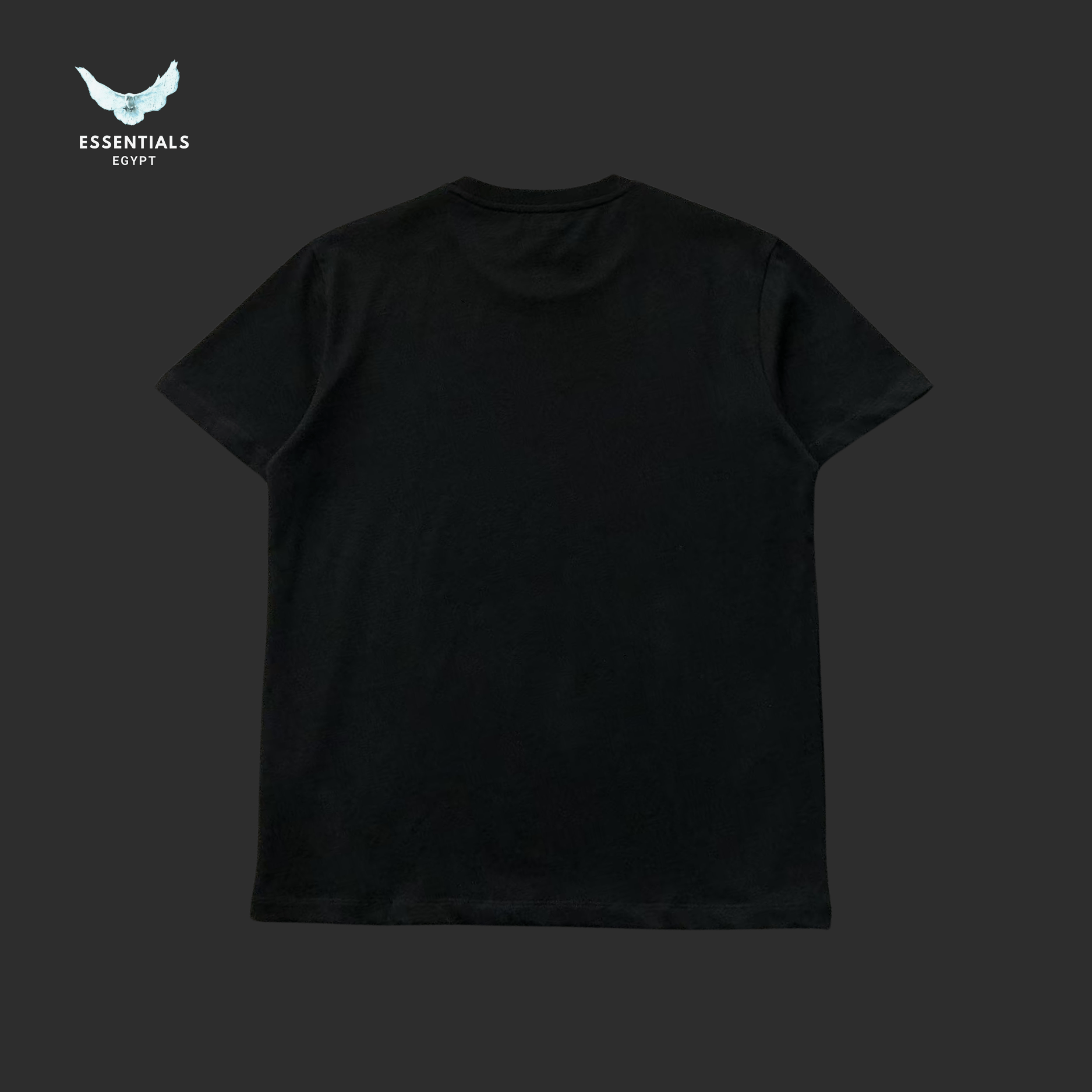 Ralph Lauren T-Shirt – Multicolor Block Logo - ESSENTIALS EGYPT