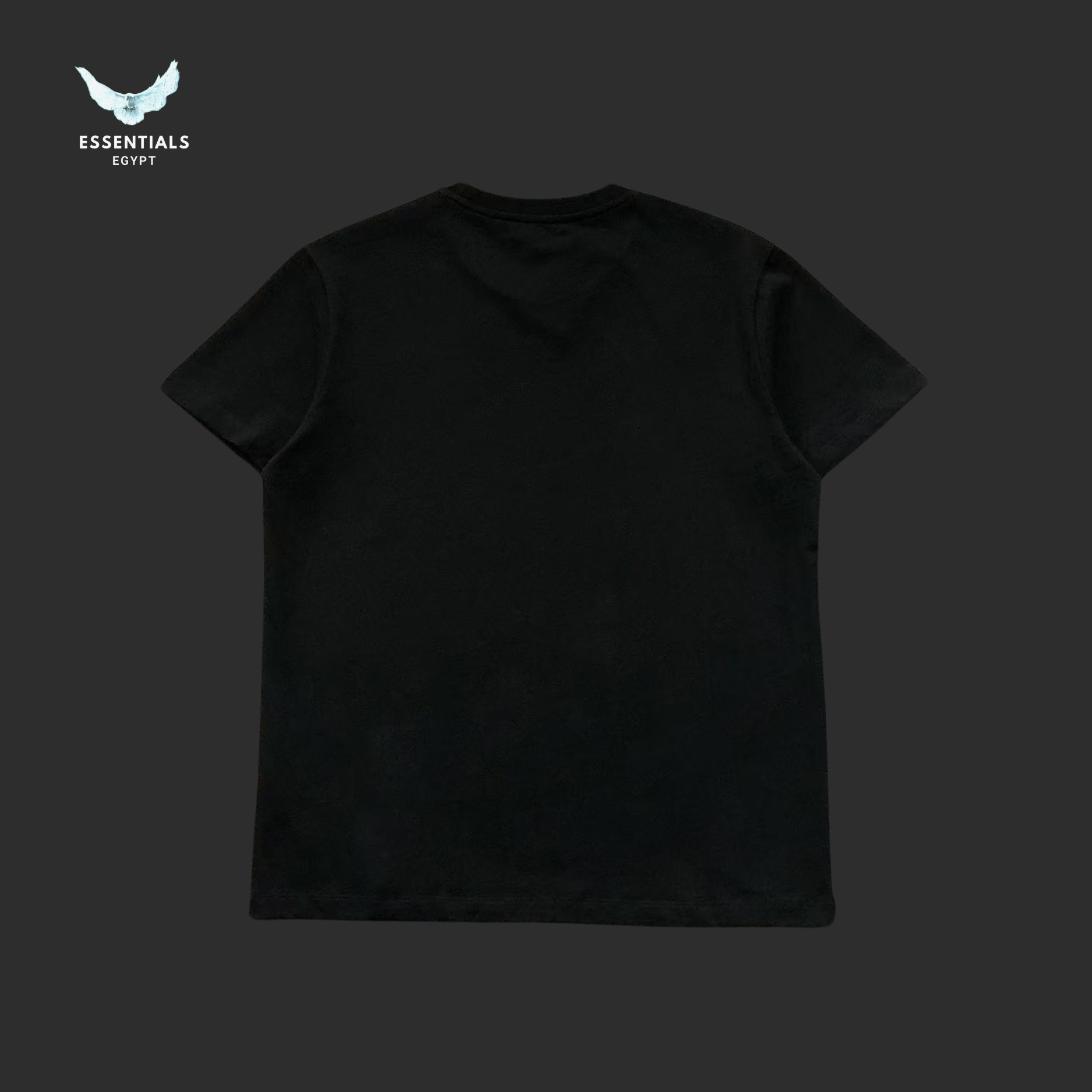 Ralph Lauren T-Shirt – Script Logo - ESSENTIALS EGYPT