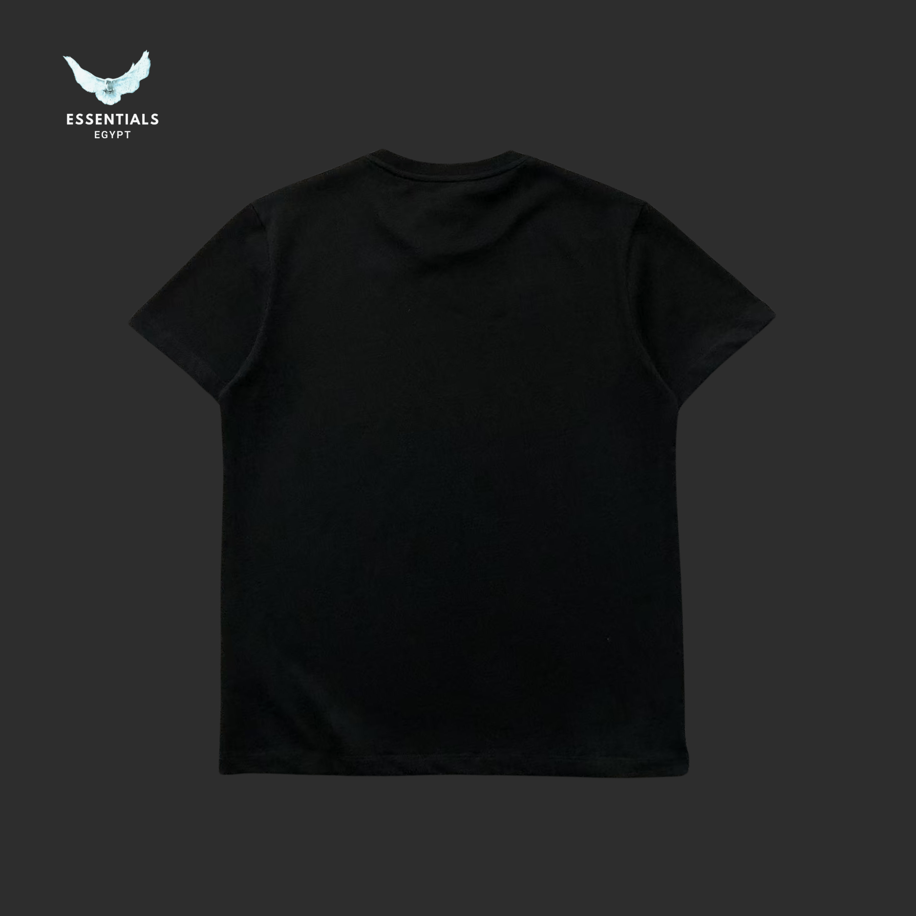 Ralph Lauren T-Shirt – Vintage Patch - ESSENTIALS EGYPT