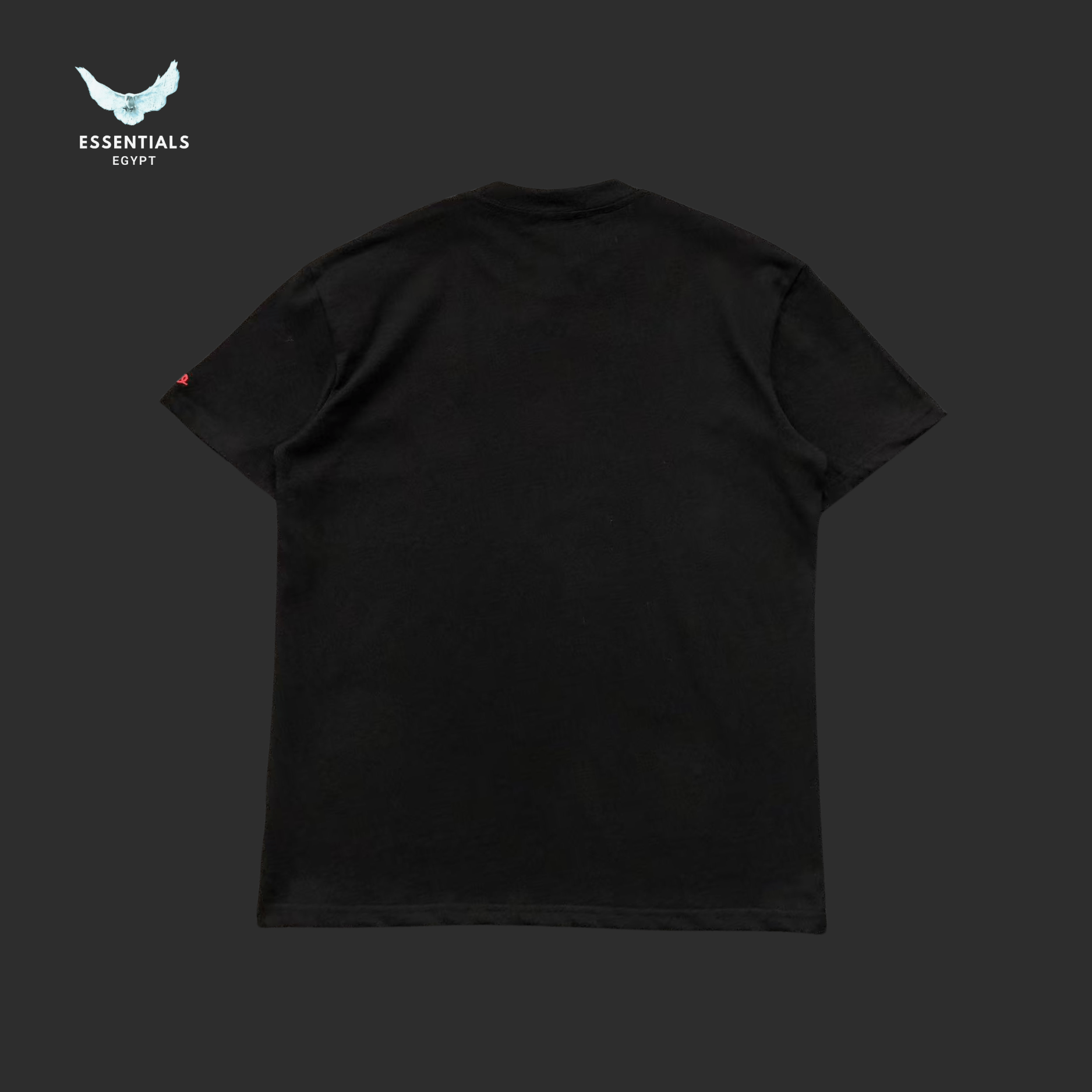 Ralph Lauren T-Shirt – Small Pony Classic Fit - ESSENTIALS EGYPT