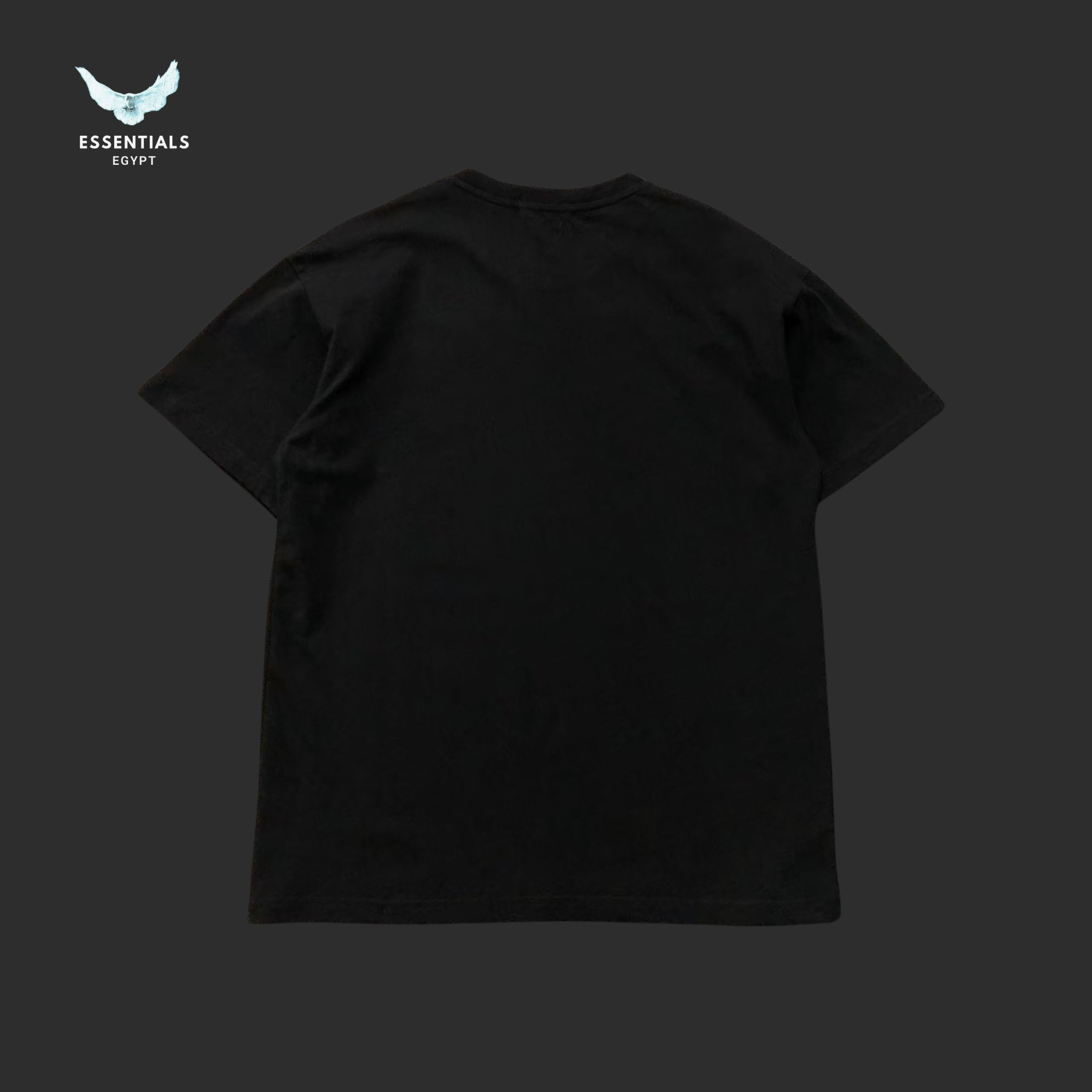 Ralph Lauren T-Shirt – Polo Bear USA Style - ESSENTIALS EGYPT