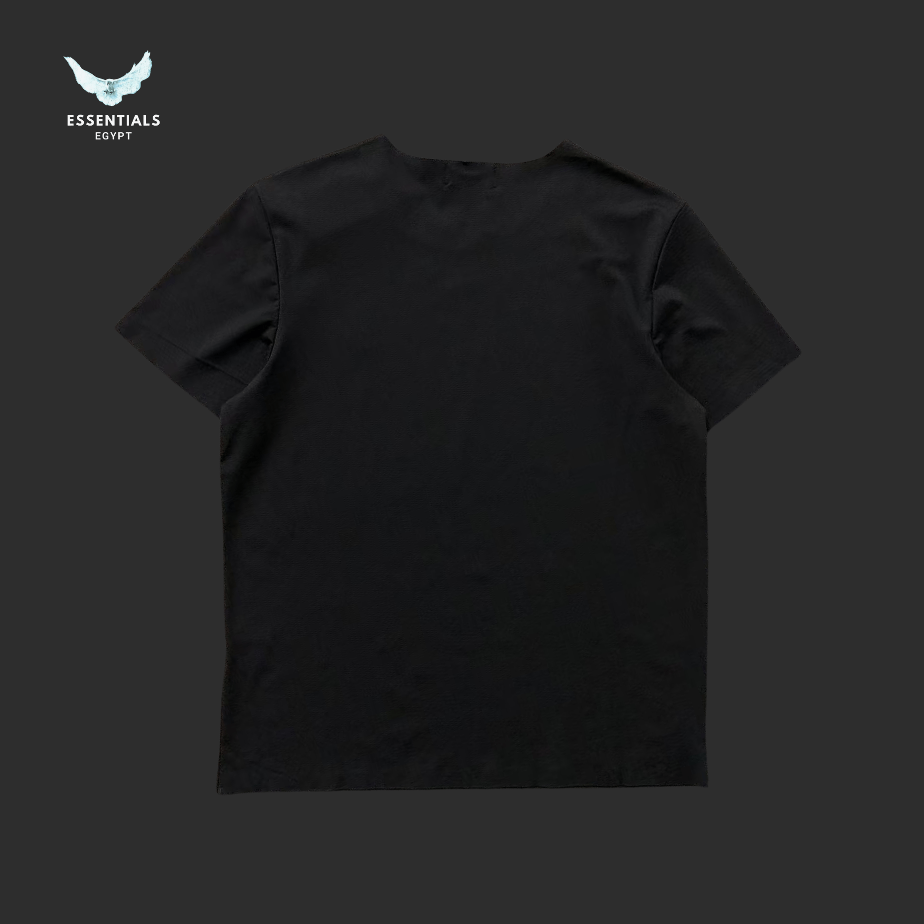 Ralph Lauren T-Shirt – Embroidered Pony (Classic Fit) - ESSENTIALS EGYPT