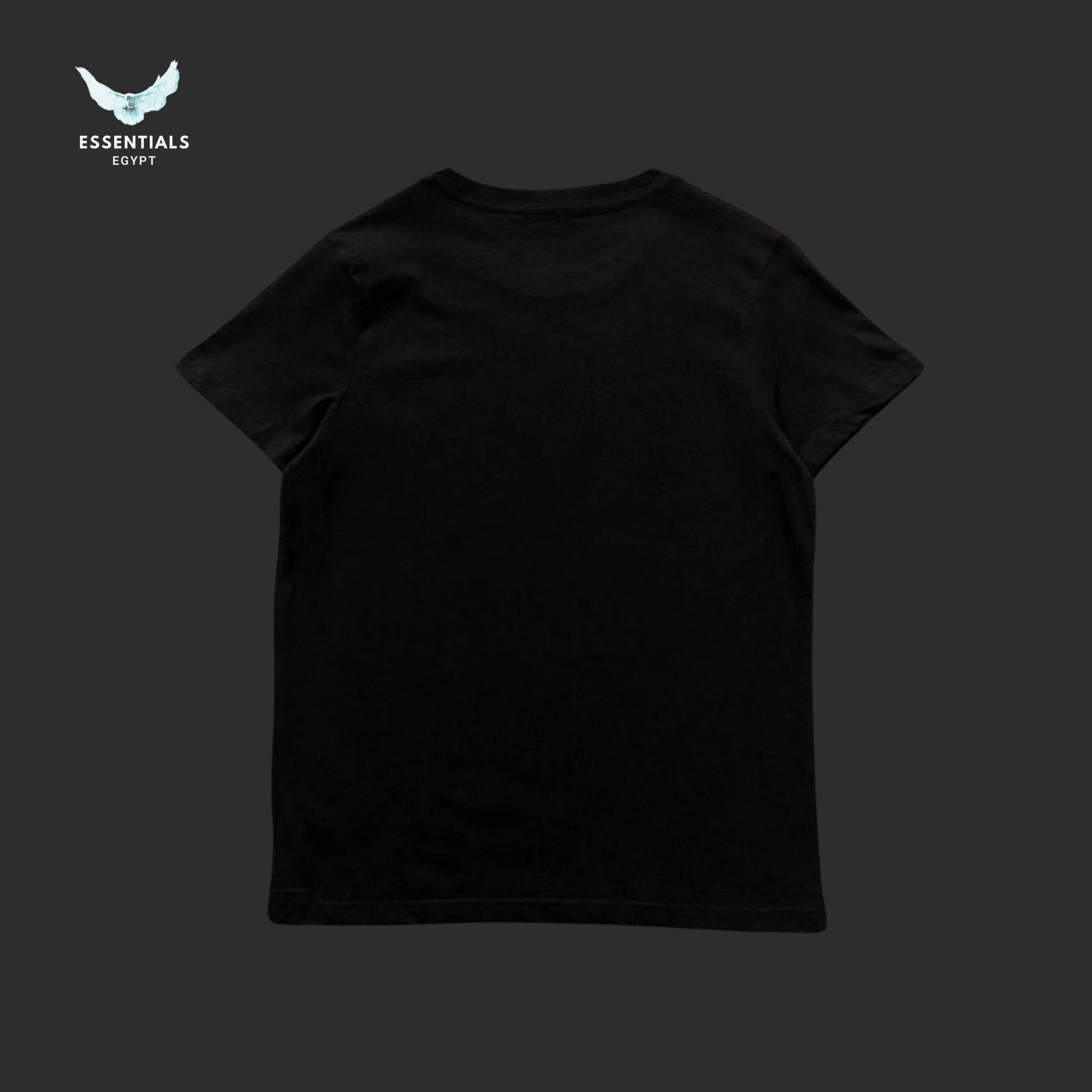 Ralph Lauren T-Shirt – Couple Bear Graphic - ESSENTIALS EGYPT