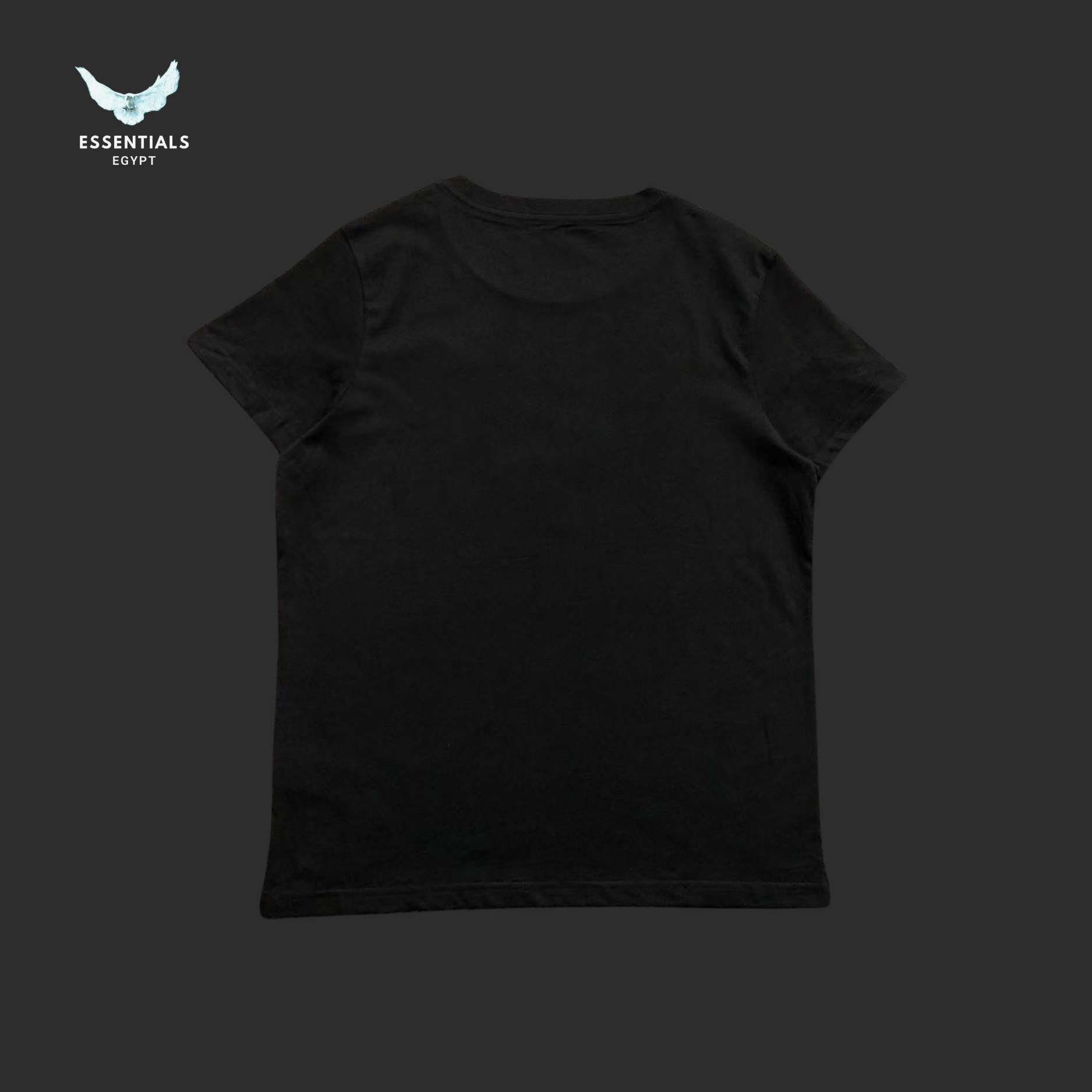 Ralph Lauren T-Shirt – Bear Olympics Edition - ESSENTIALS EGYPT