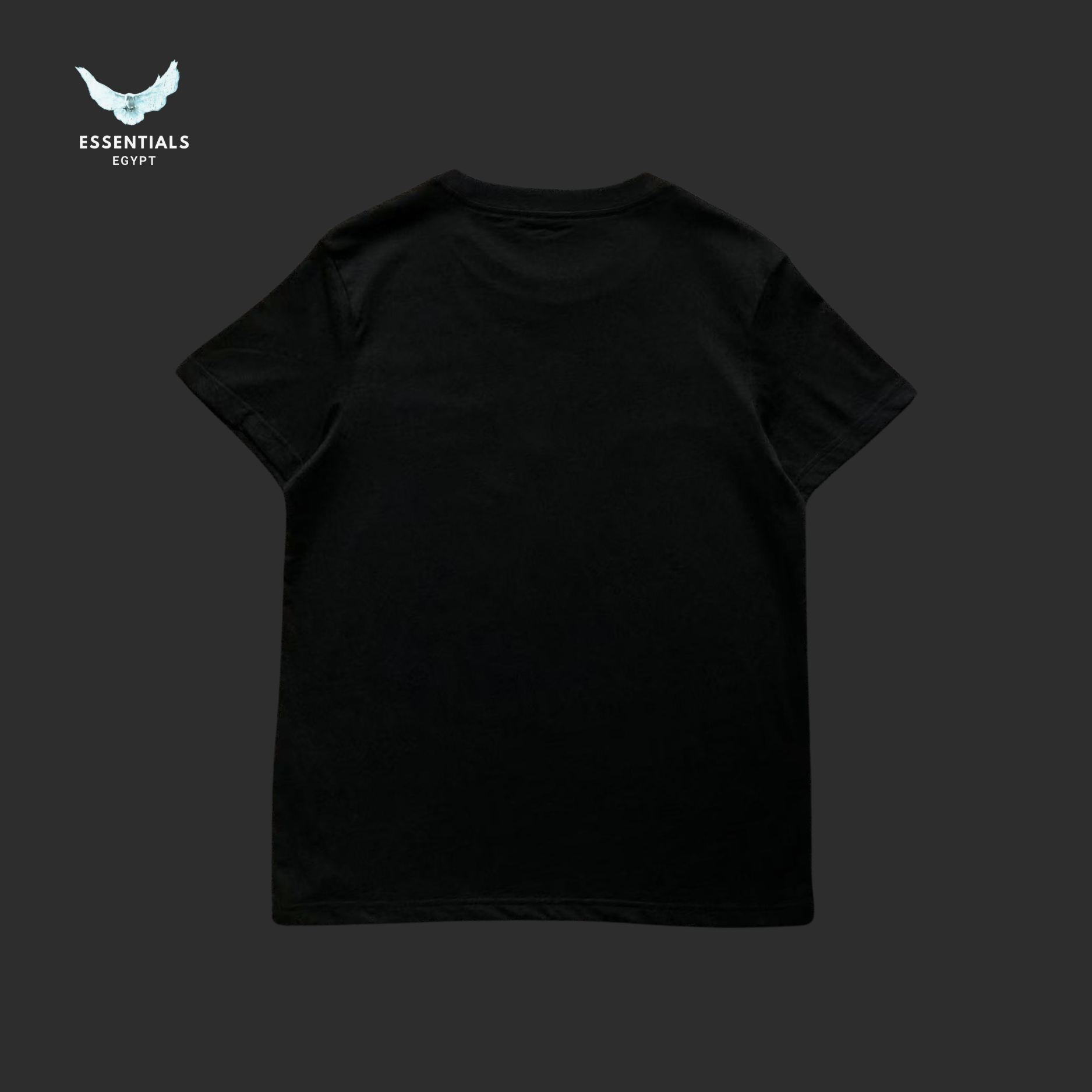 Ralph Lauren T-Shirt – Bear in College Fit - ESSENTIALS EGYPT