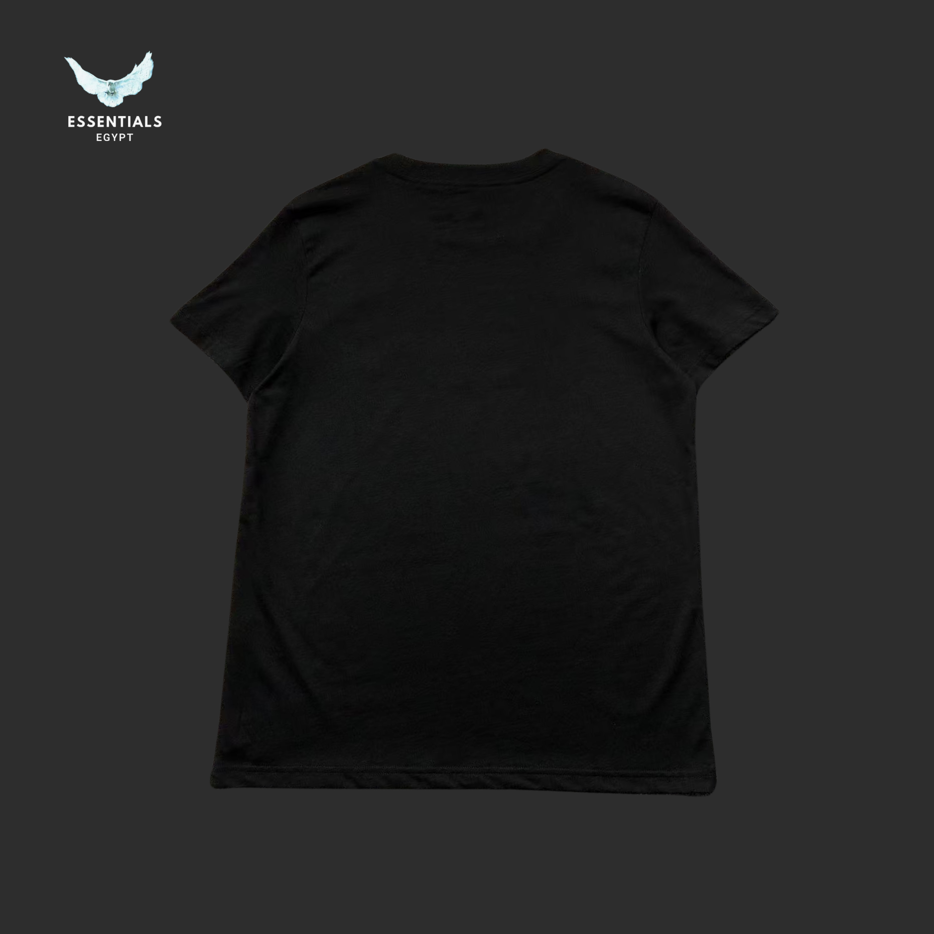 Ralph Lauren T-Shirt – Polo 1992 Graphic