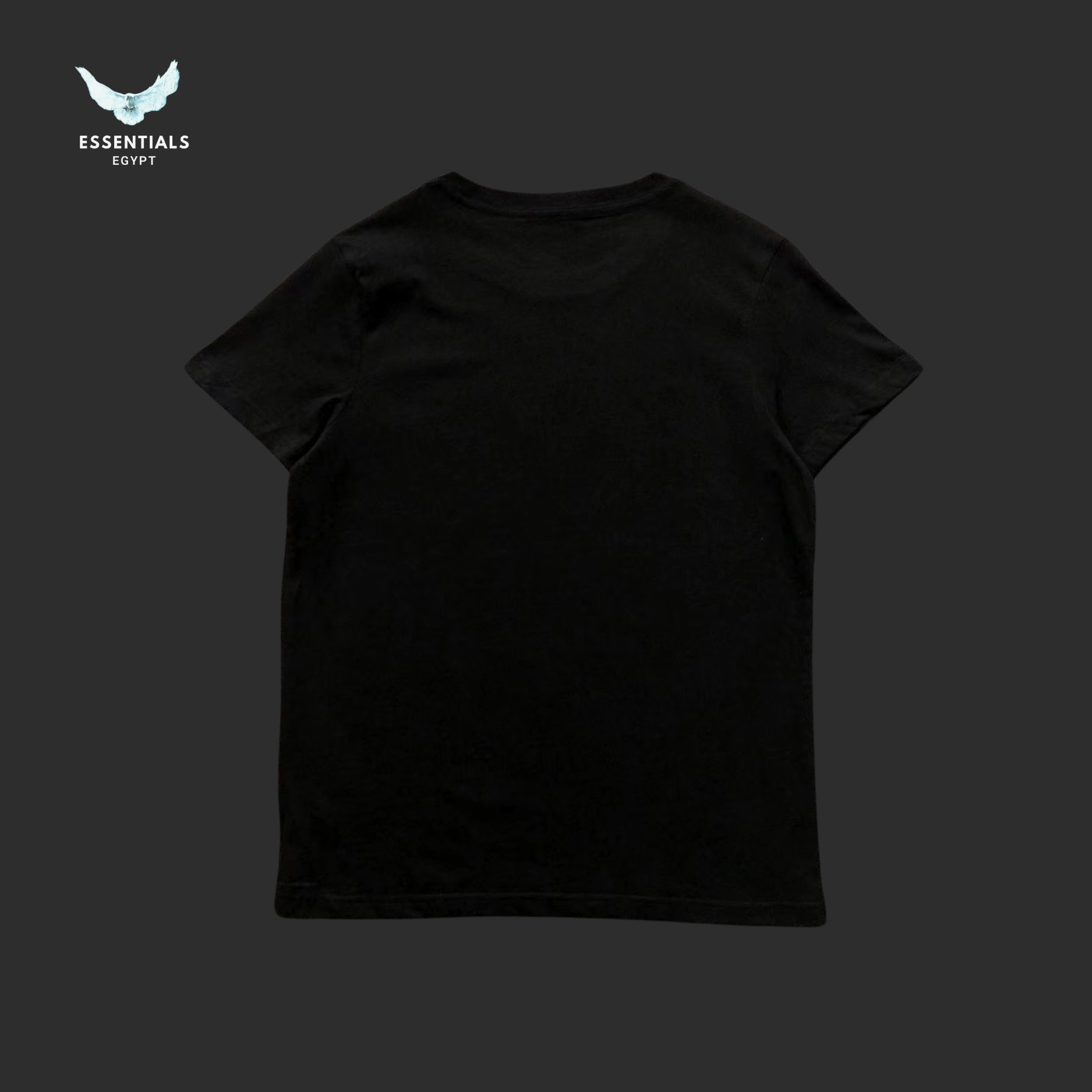 Ralph Lauren T-Shirt – Golf Polo Bear RLX - ESSENTIALS EGYPT