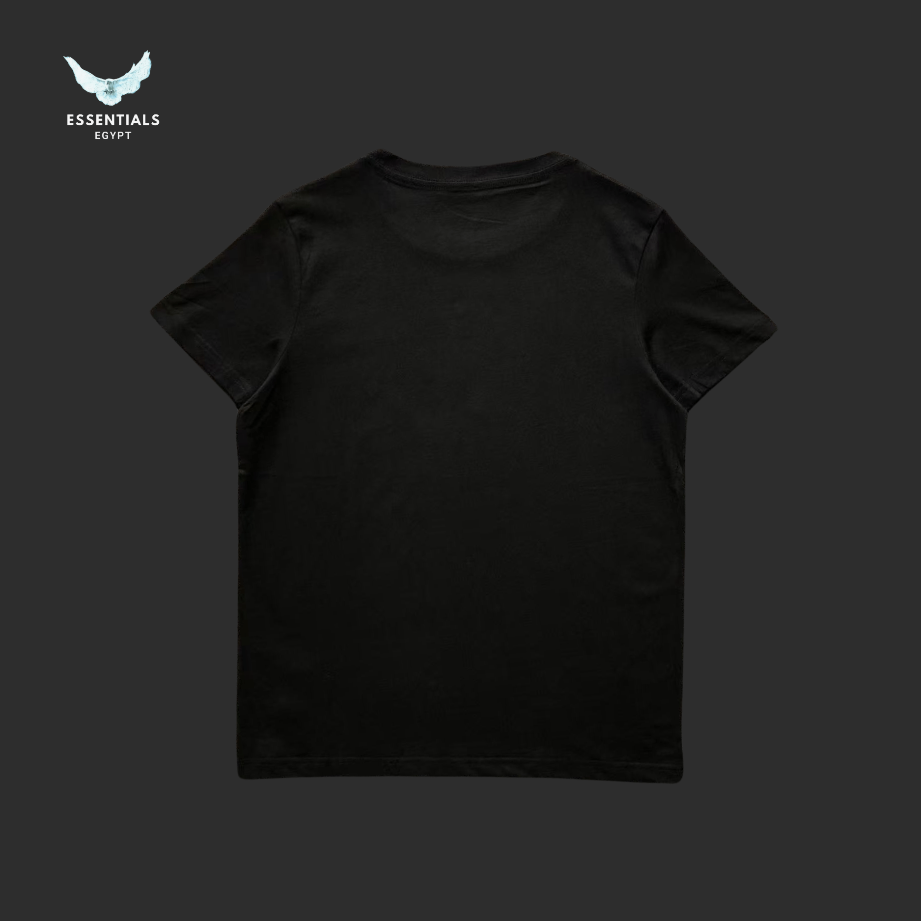 Ralph Lauren T-Shirt – Summer Sailor Bear - ESSENTIALS EGYPT