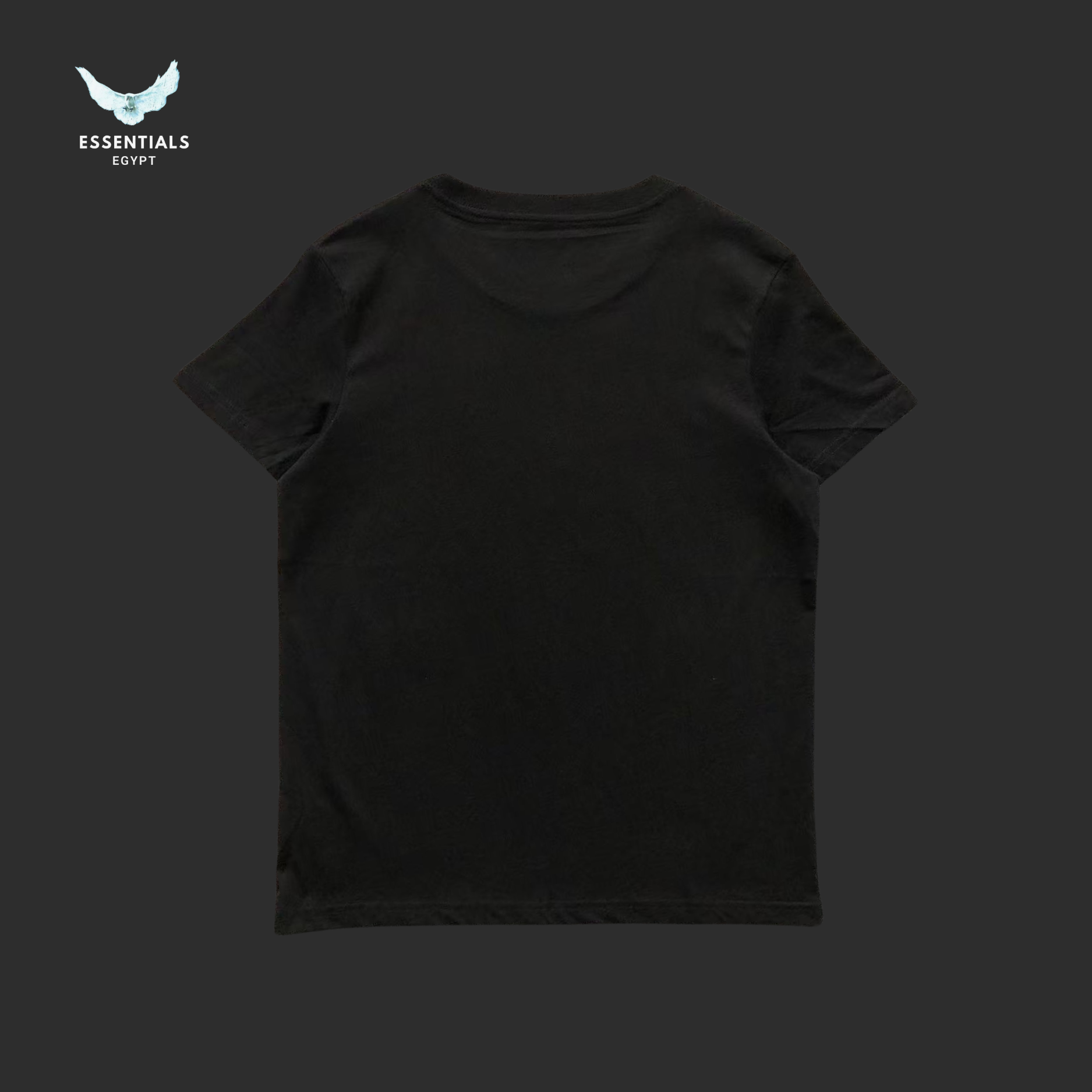 Ralph Lauren T-Shirt – Duo Bear Prep Style