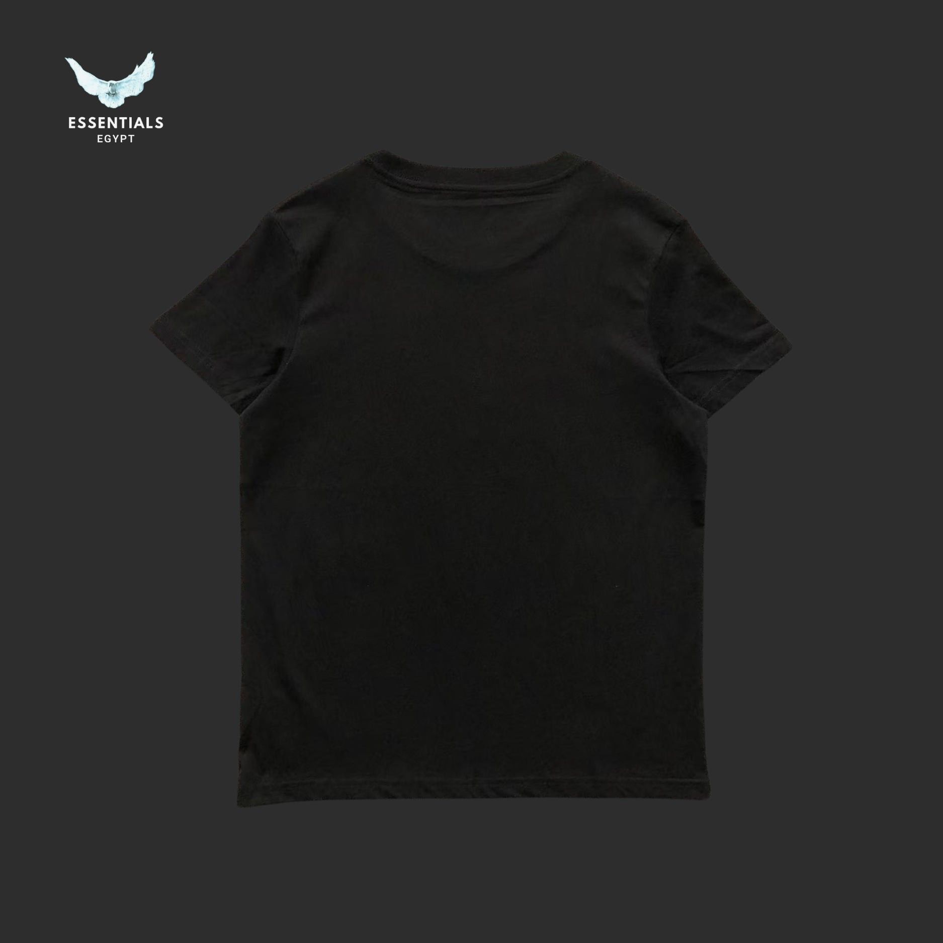 Ralph Lauren T-Shirt – Duo Bear Prep Style - ESSENTIALS EGYPT