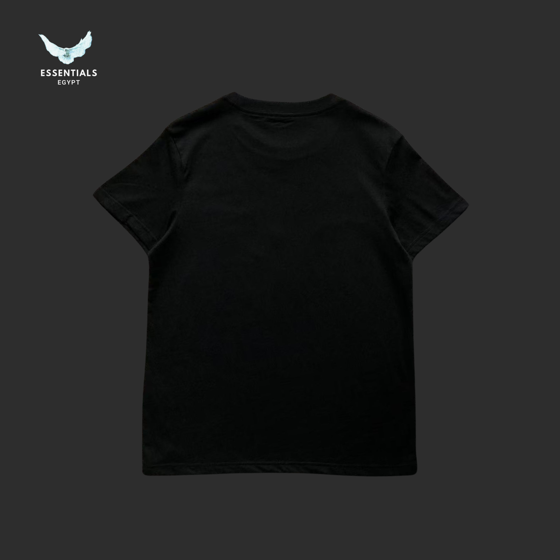 Ralph Lauren T-Shirt – Bear with Vintage Car Print
