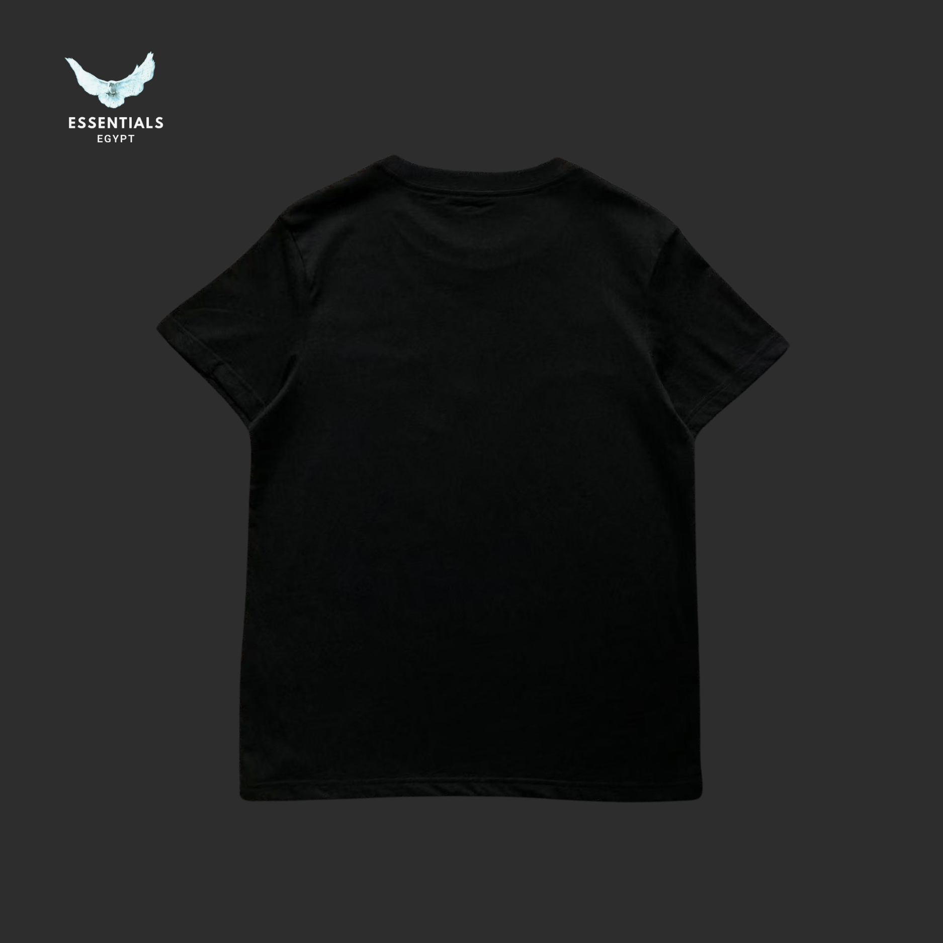 Ralph Lauren T-Shirt – Bear with Vintage Car Print - ESSENTIALS EGYPT