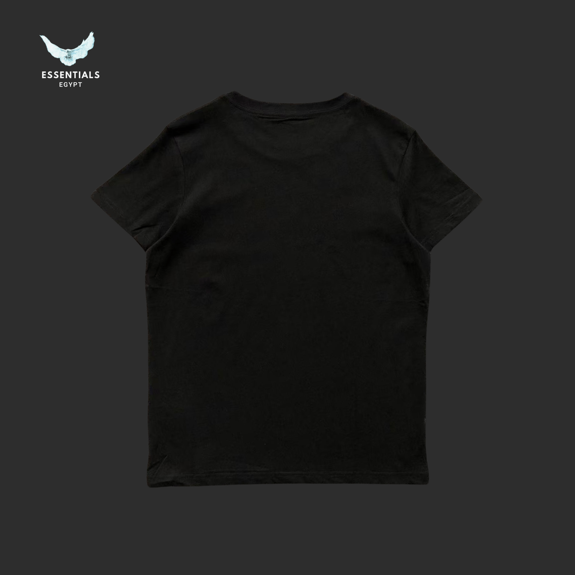 Ralph Lauren T-Shirt – Snowboard Bear Print - ESSENTIALS EGYPT