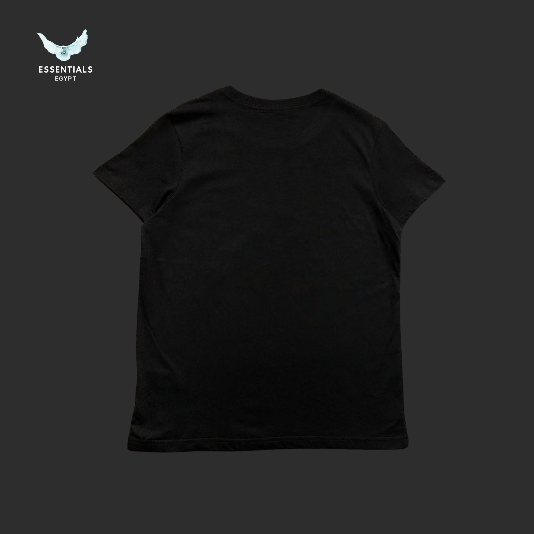 Ralph Lauren T-Shirt – Bear in Layered Street Look