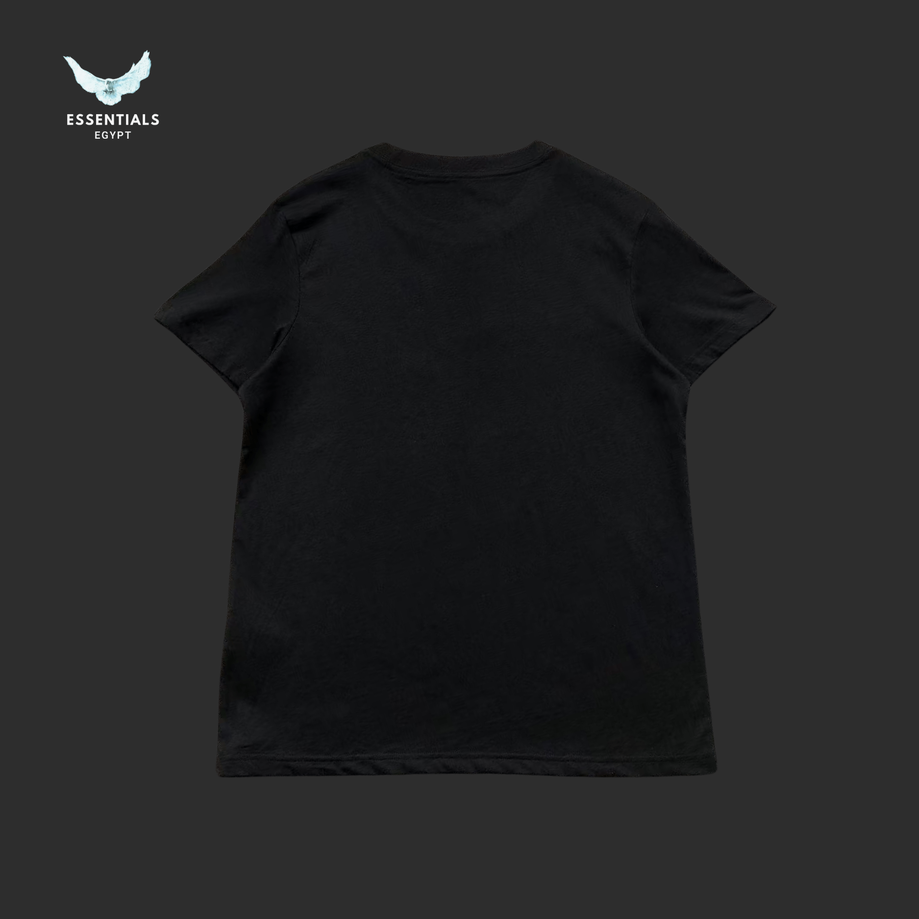 Ralph Lauren T-Shirt – Bear in Red Jacket Edition - ESSENTIALS EGYPT