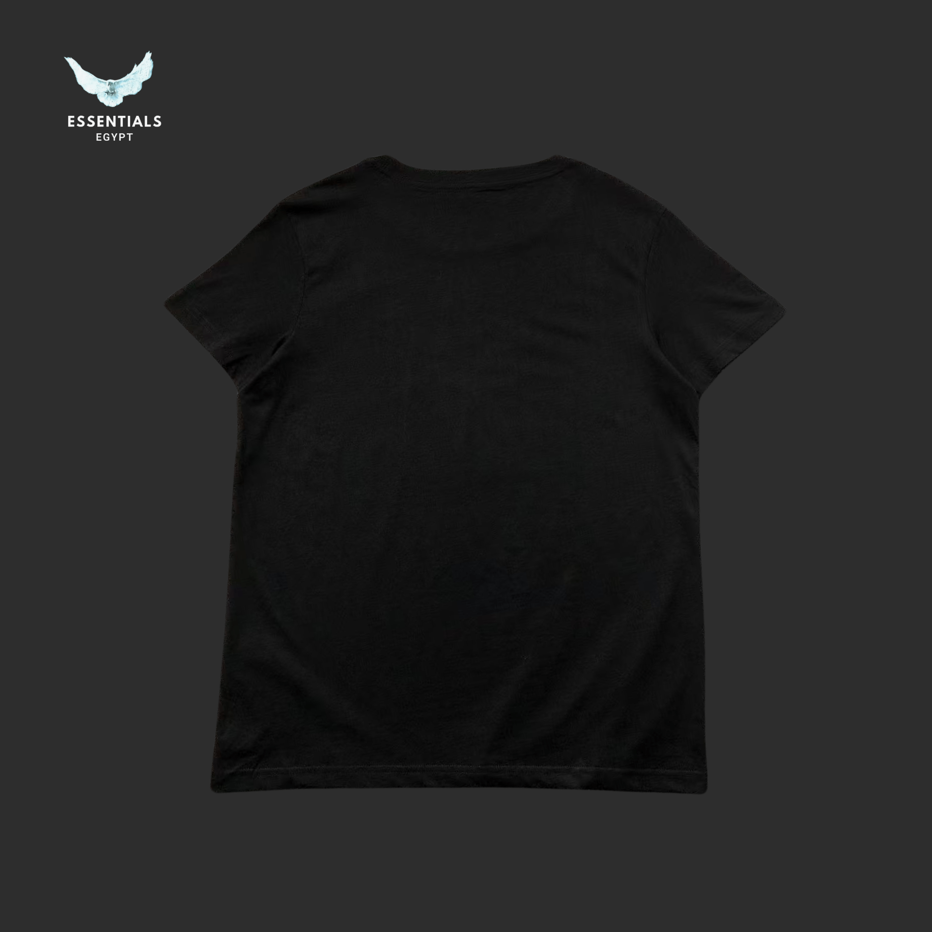 Ralph Lauren T-Shirt – Basketball Polo Bear - ESSENTIALS EGYPT