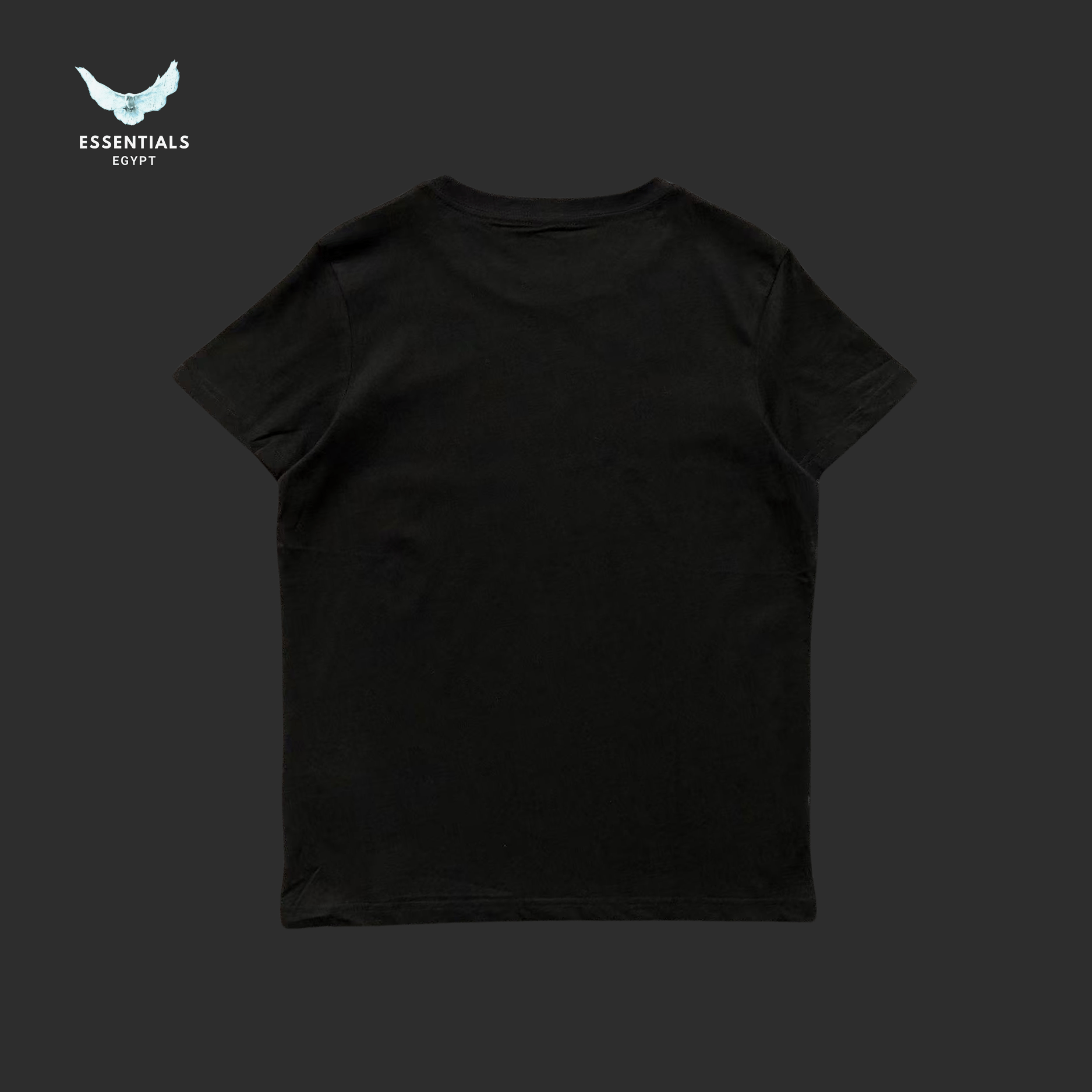 Ralph Lauren T-Shirt – Bear in Varsity Fit - ESSENTIALS EGYPT