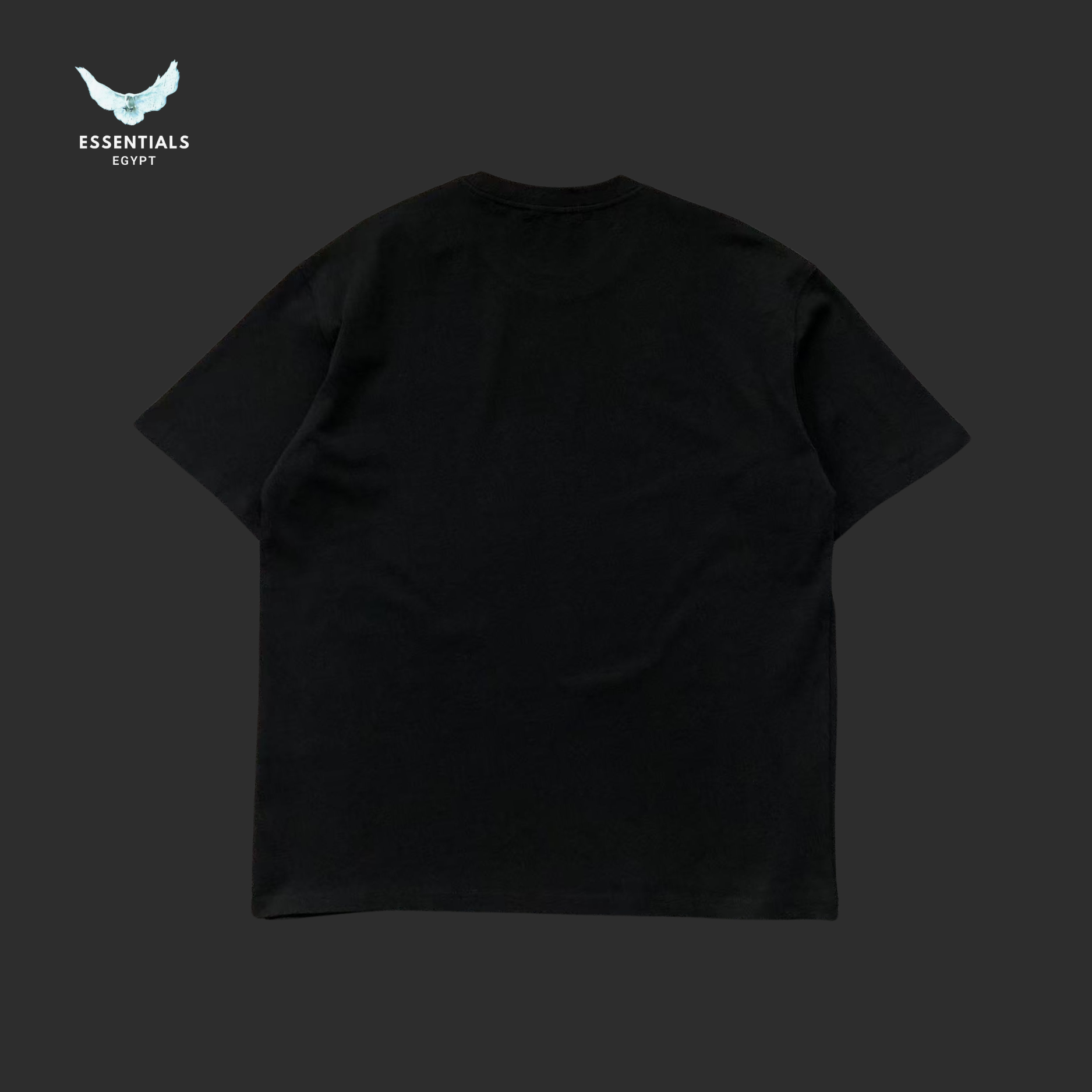 Ralph Lauren T-Shirt – Small Logo Minimal Edition