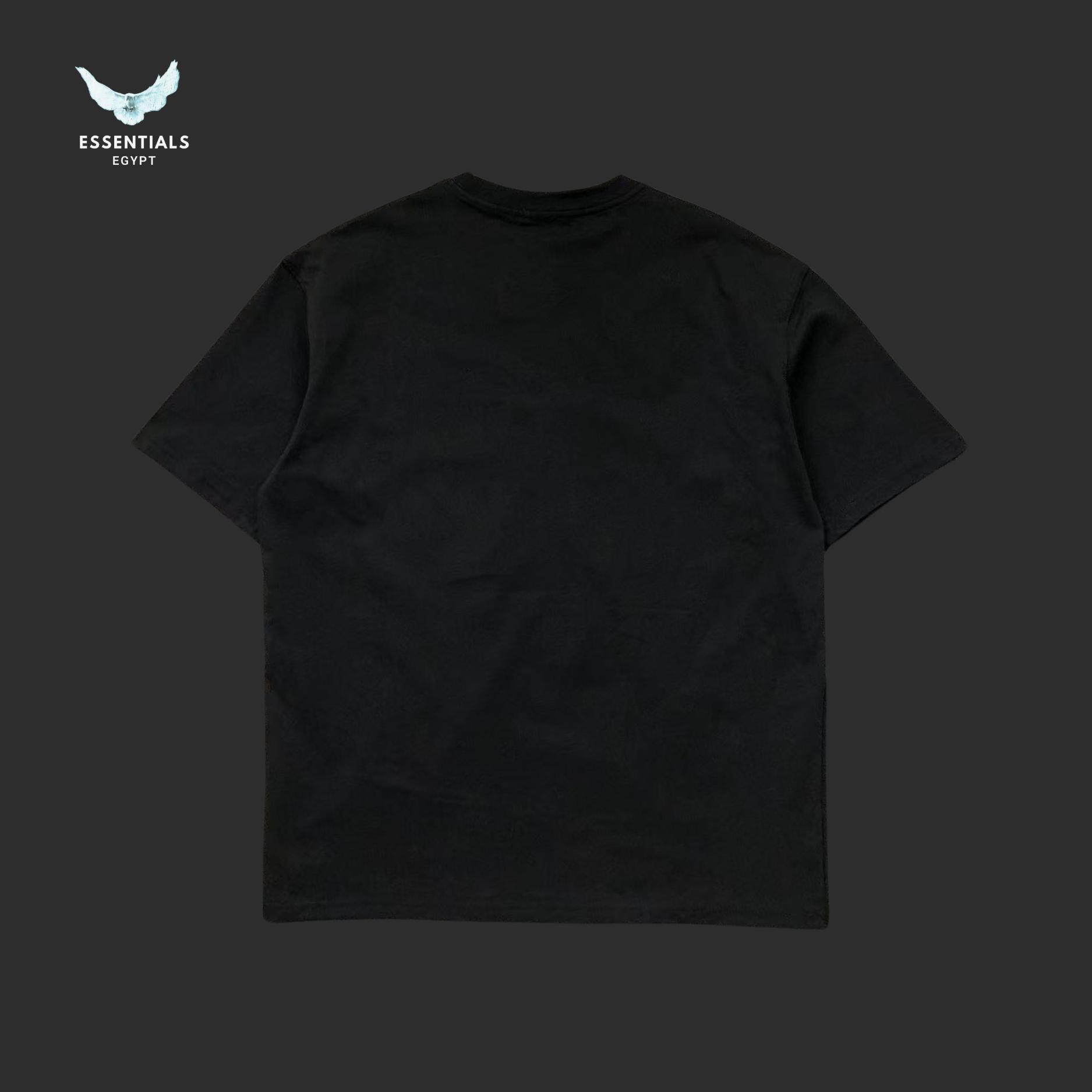 Ralph Lauren T-Shirt – Oversized Neon Polo Logo - ESSENTIALS EGYPT