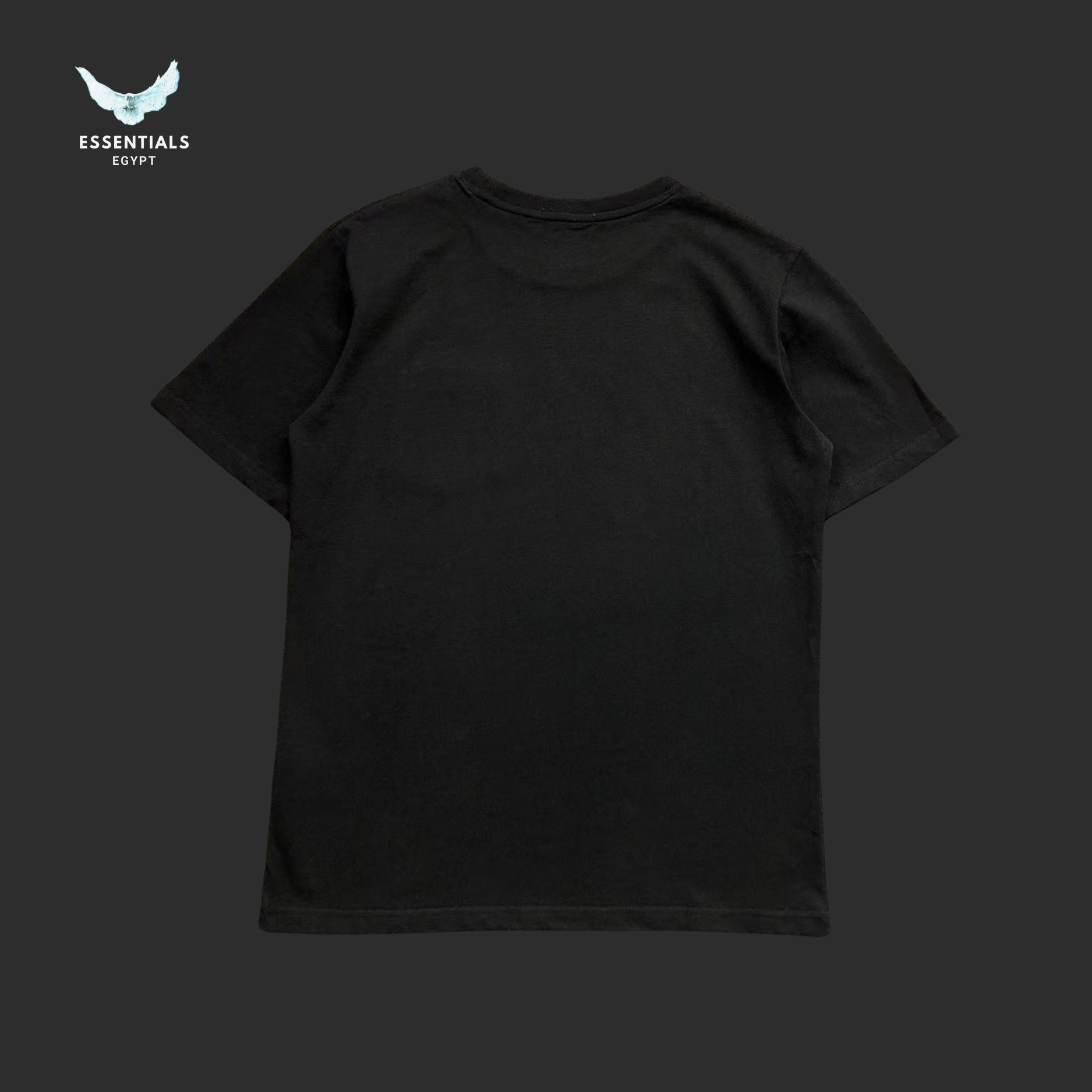 RALPH LAUREN T-SHIRT 413270277