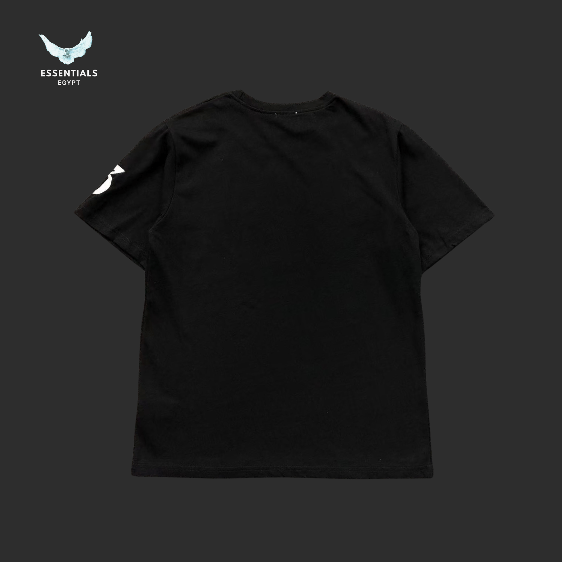 Ralph Lauren T-Shirt – Pony Embroidery - ESSENTIALS EGYPT