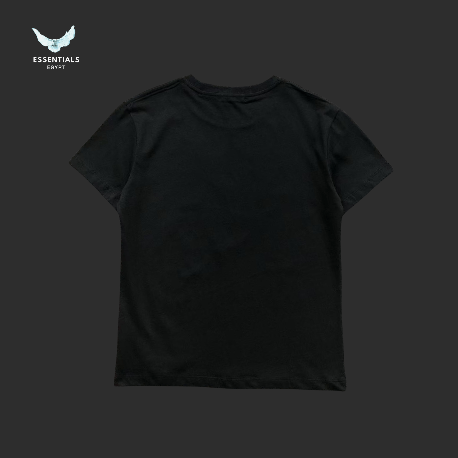 Ralph Lauren T-Shirt – Polo Bear Couple - ESSENTIALS EGYPT