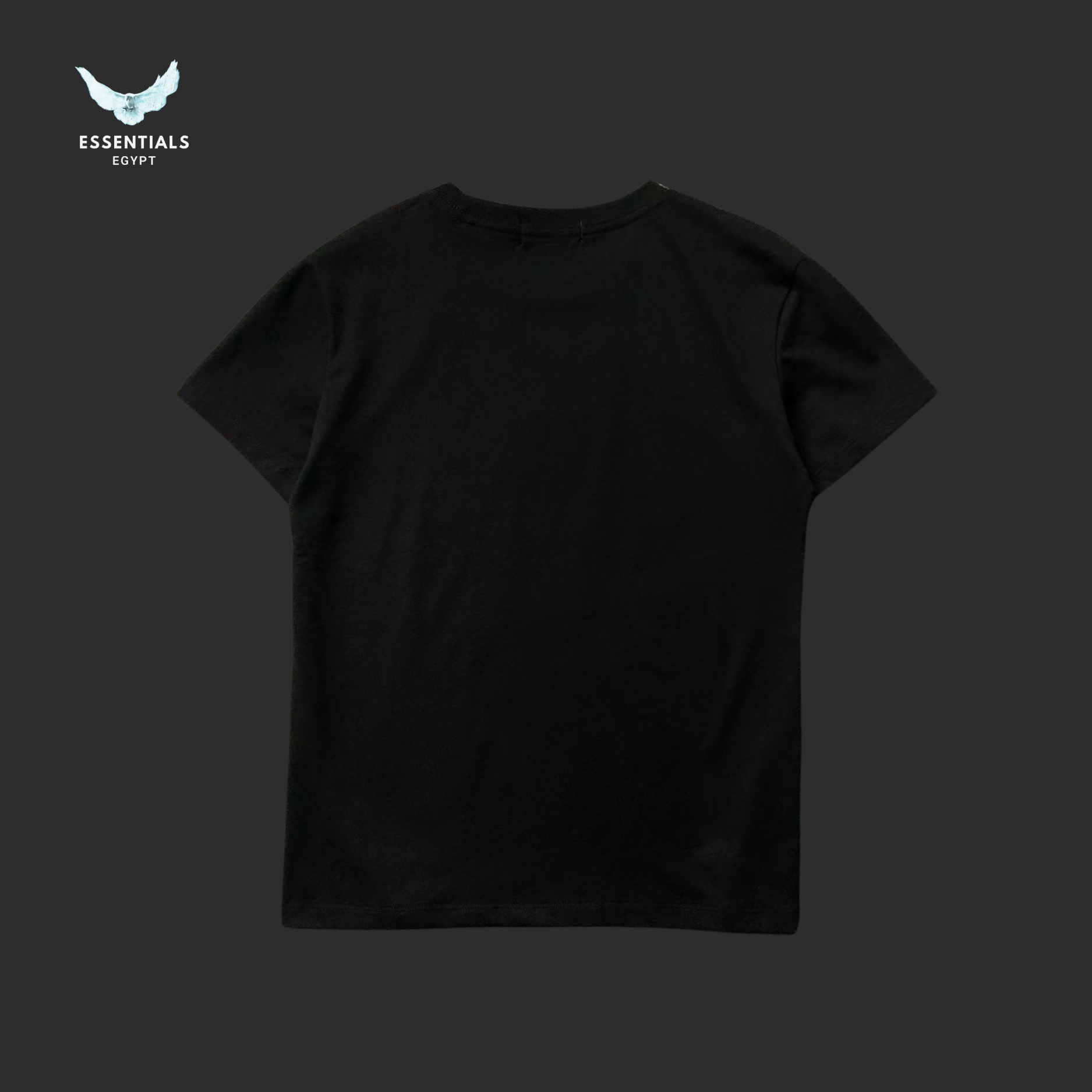 Ralph Lauren T-Shirt – Safari Bear Edition - ESSENTIALS EGYPT