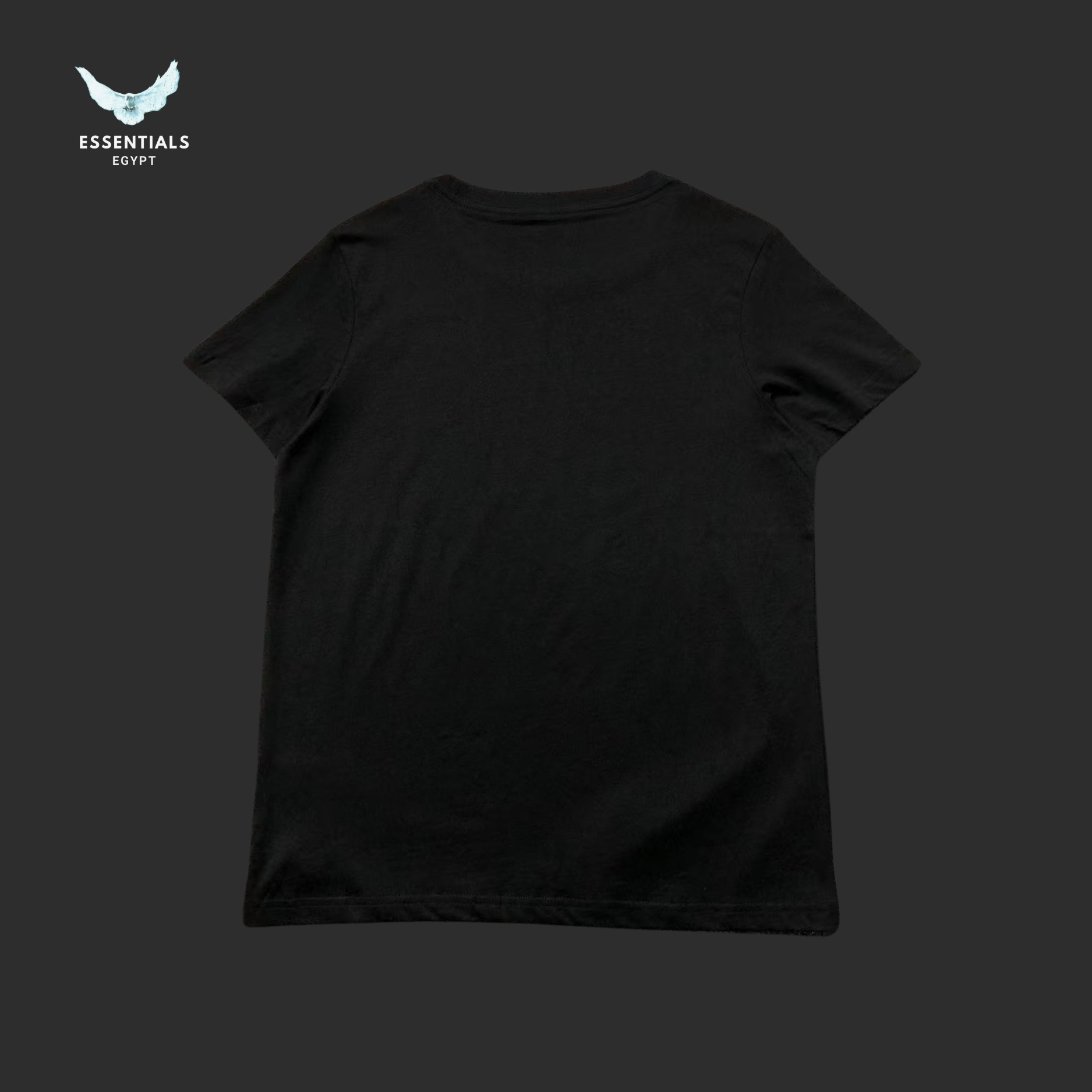 Ralph Lauren T-Shirt – UP RL Varsity Logo - ESSENTIALS EGYPT