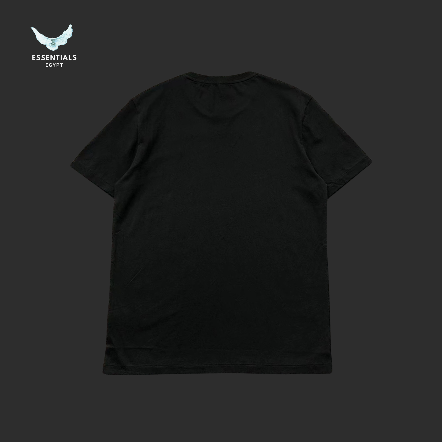 Ralph Lauren T-Shirt – Pony Logo