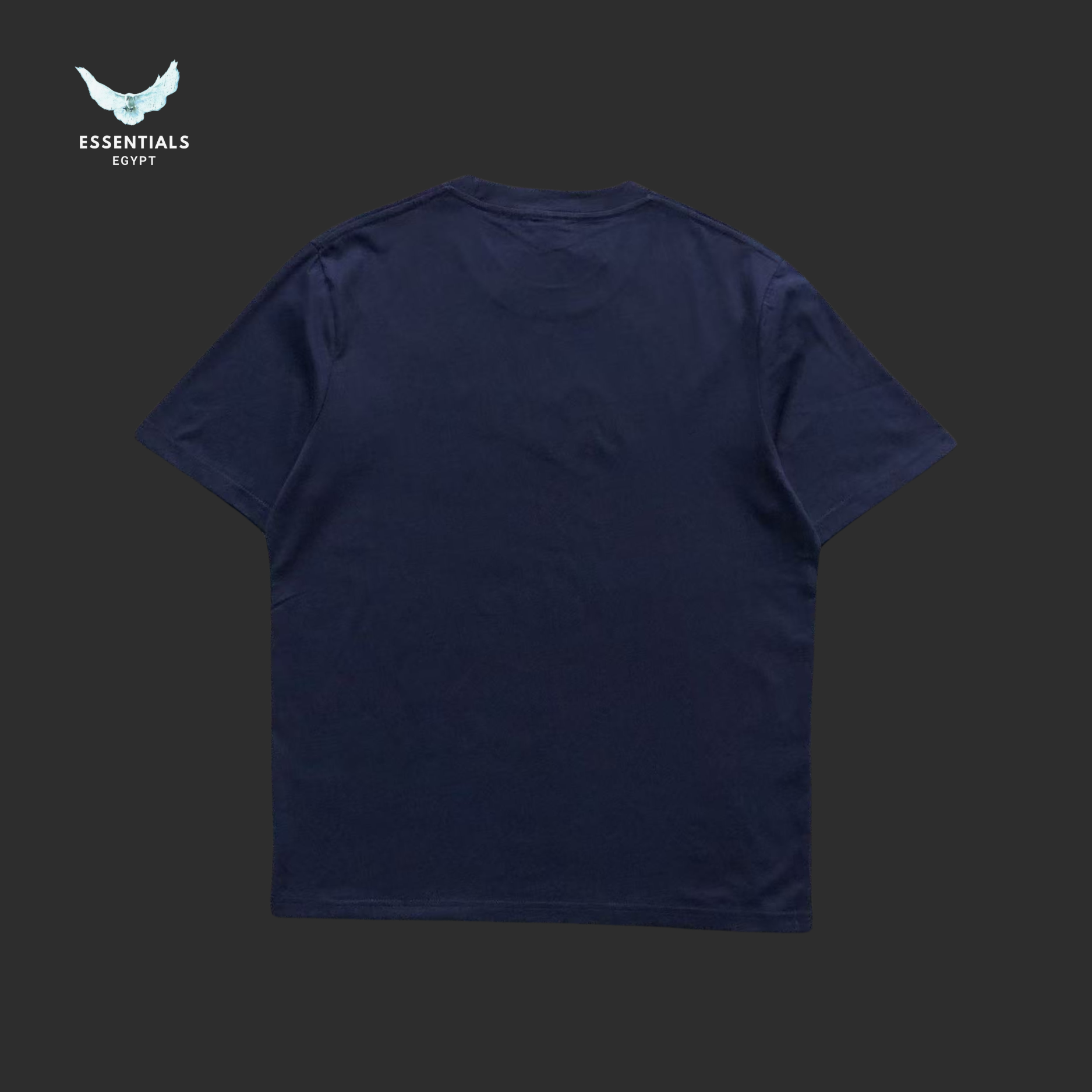 Ralph Lauren T-Shirt – Triple Dollar Logo