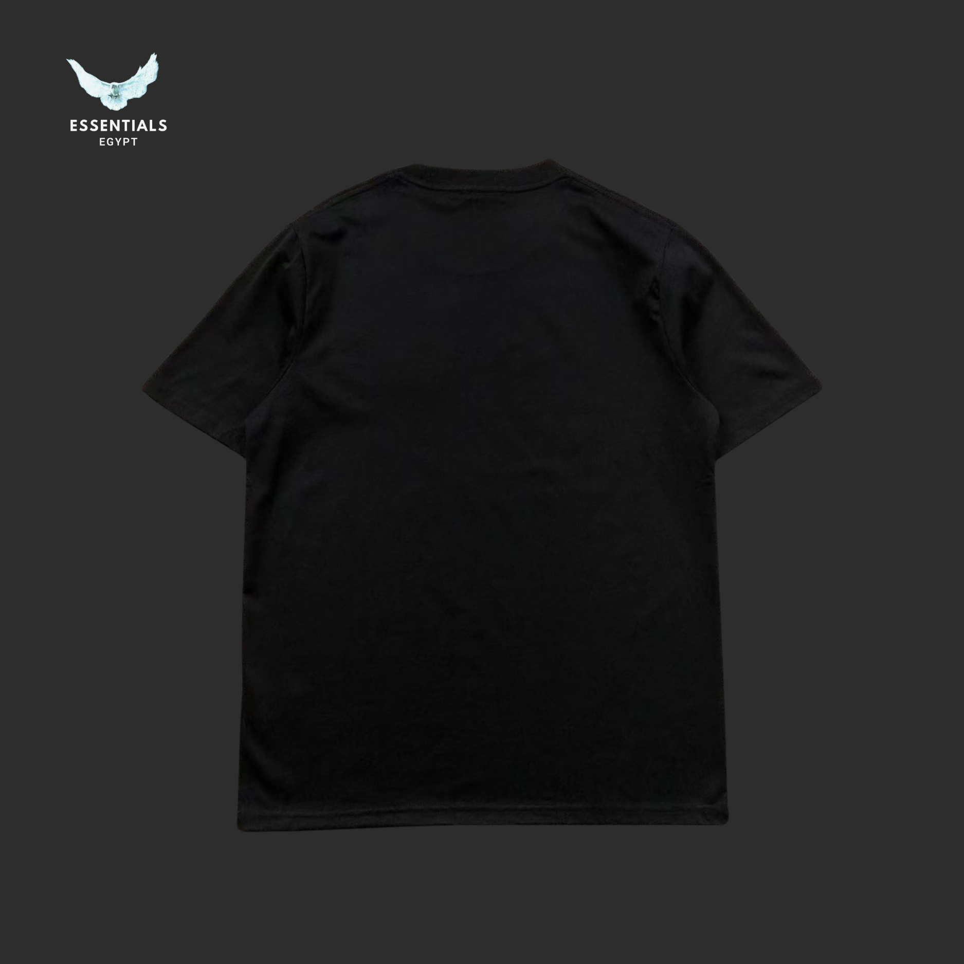 Ralph Lauren T-Shirt – Polo Horse Trio