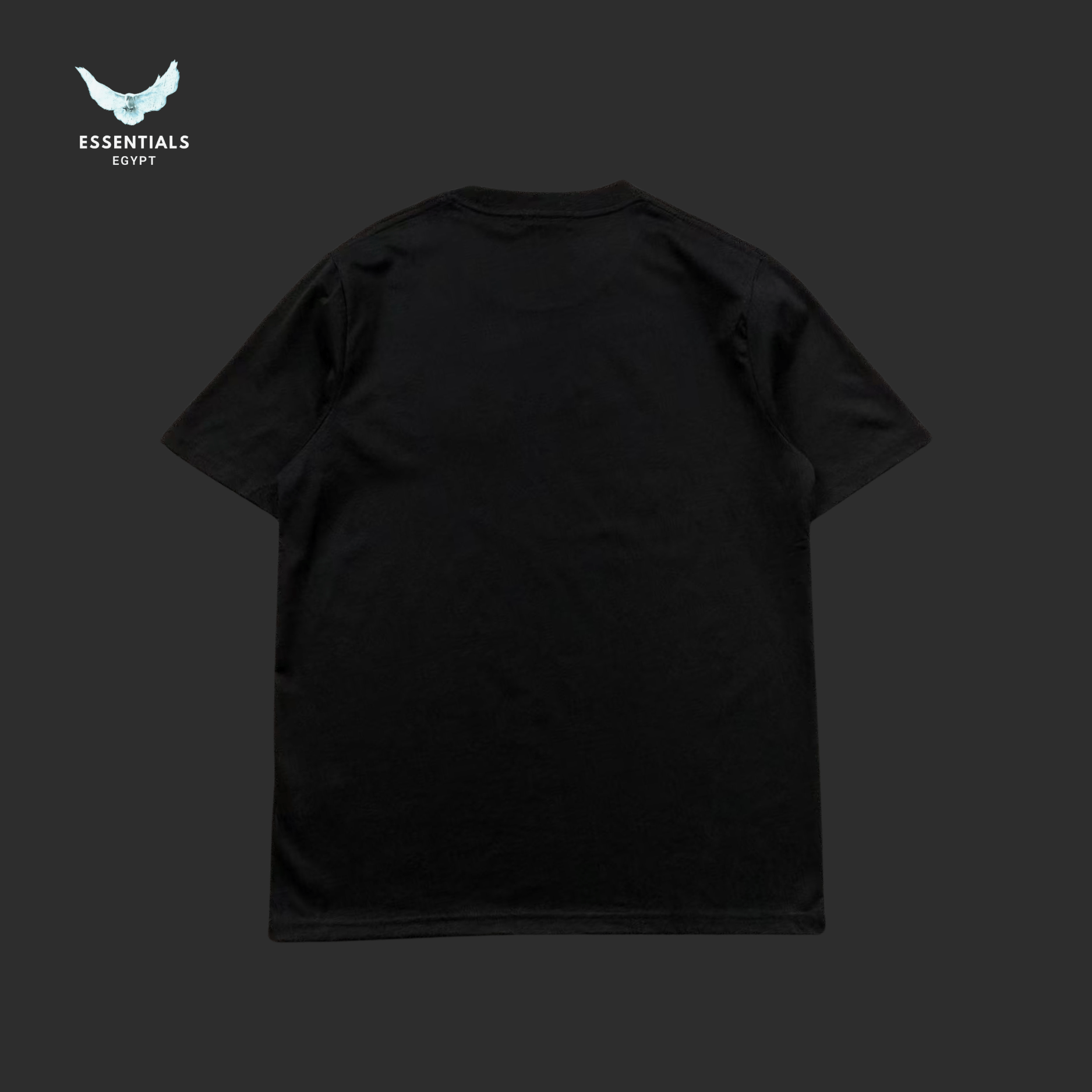 Ralph Lauren T-Shirt – Polo Horse Trio - ESSENTIALS EGYPT